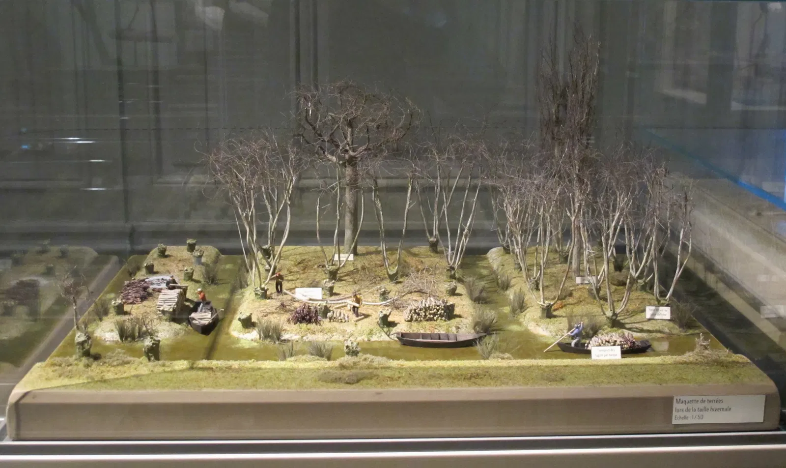 Muséum d'Histoire Naturelle de La Rochelle