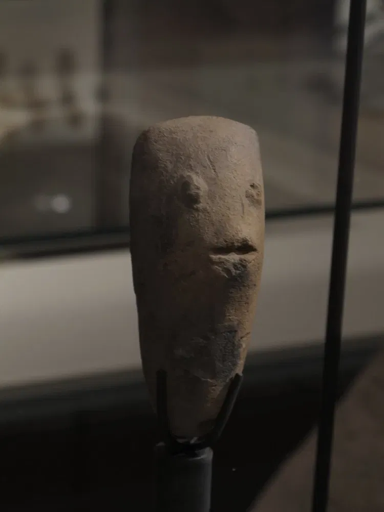 Muséum d'Histoire Naturelle de La Rochelle