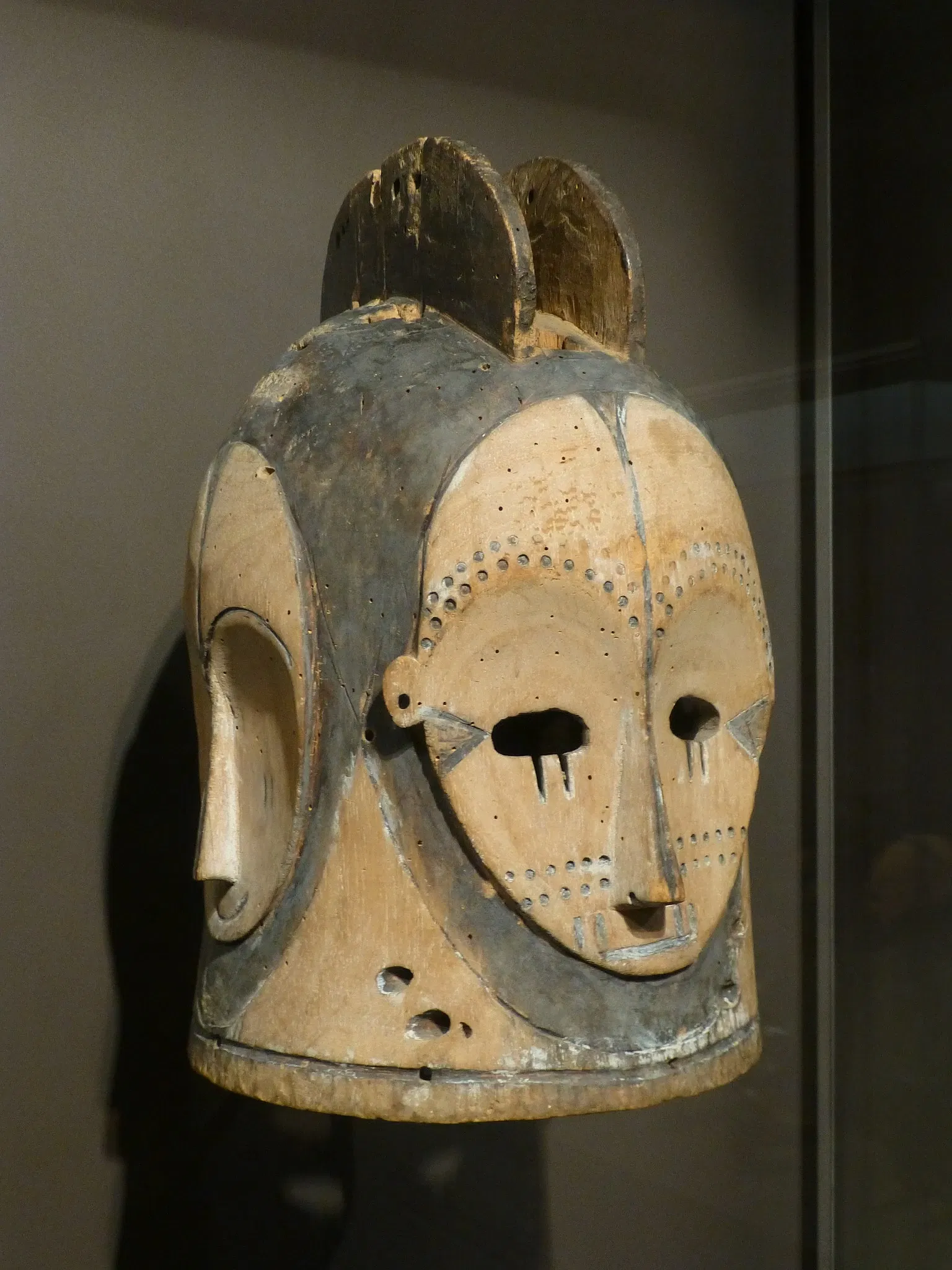 Muséum d'Histoire Naturelle de La Rochelle