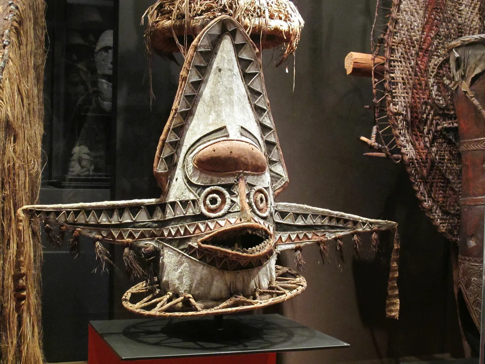 Muséum d'Histoire Naturelle de La Rochelle