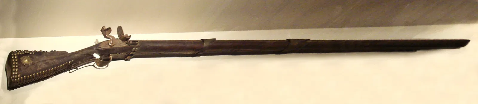 Muséum d'Histoire Naturelle de La Rochelle