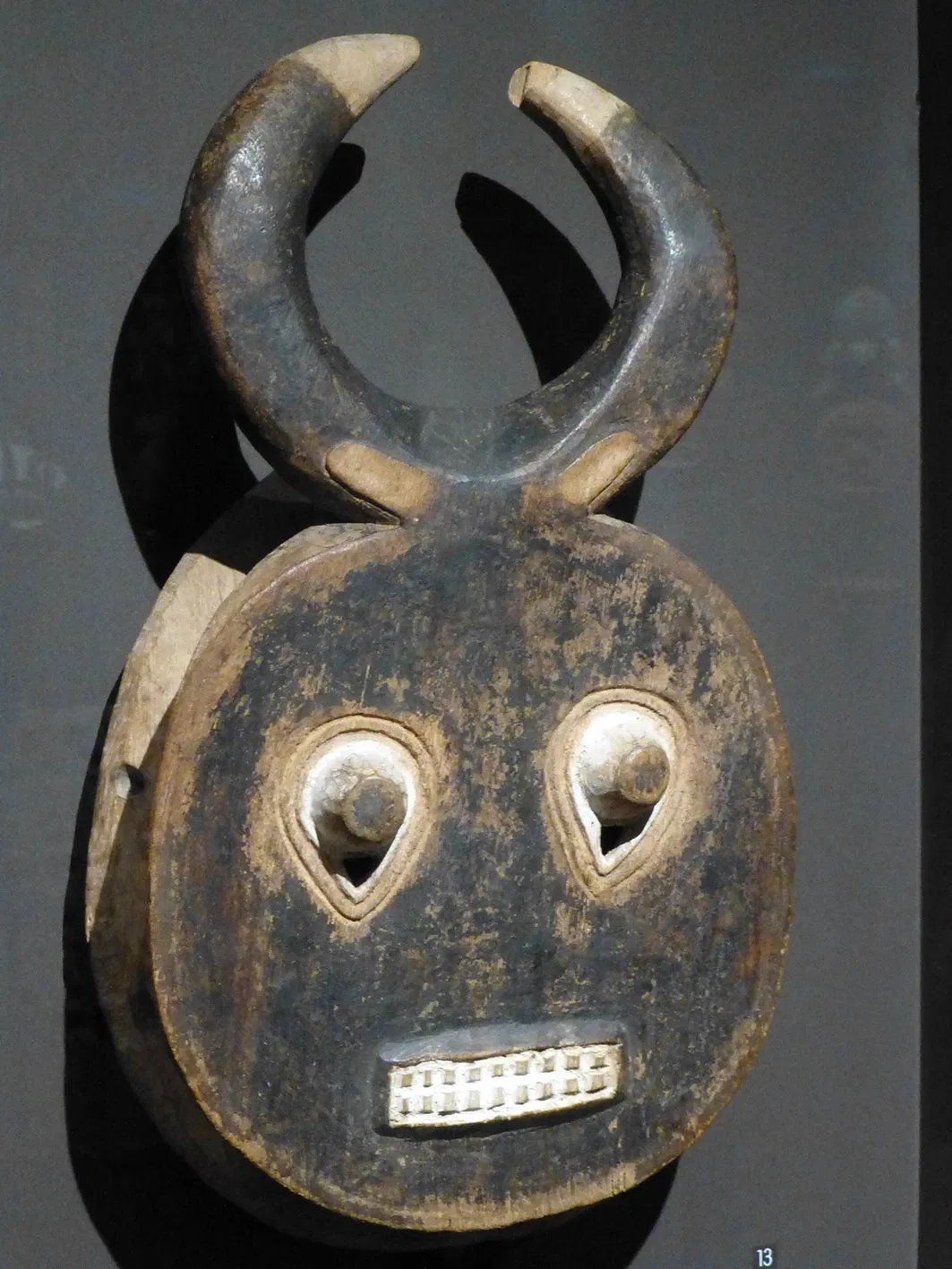 Muséum d'Histoire Naturelle de La Rochelle