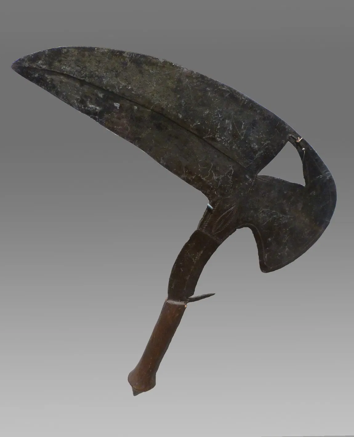 Muséum d'Histoire Naturelle de La Rochelle