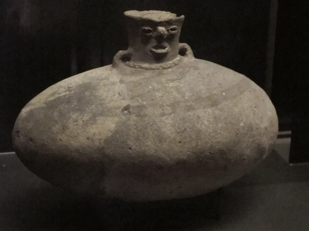 Muséum d'Histoire Naturelle de La Rochelle