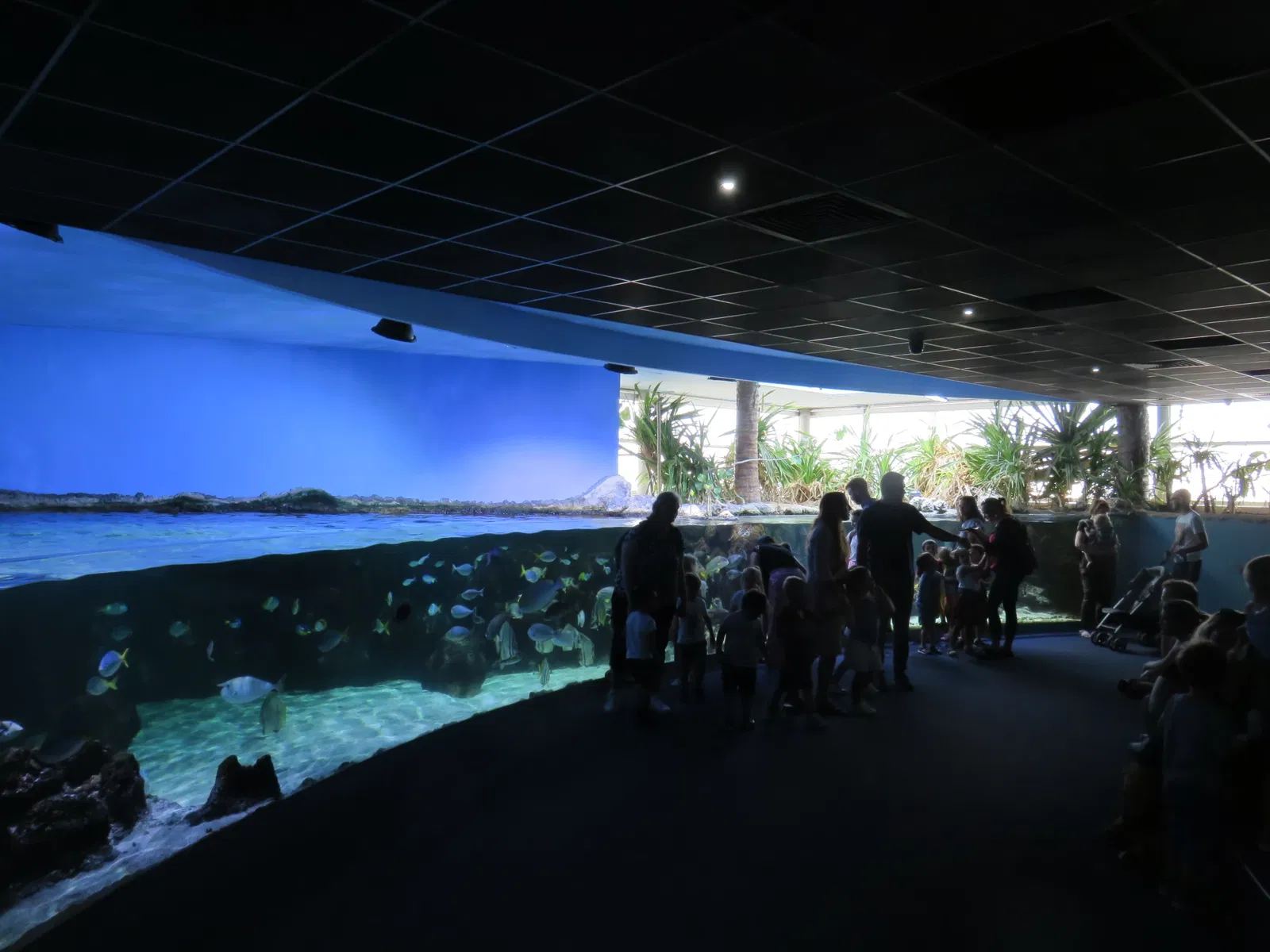 Aquarium de La Rochelle
