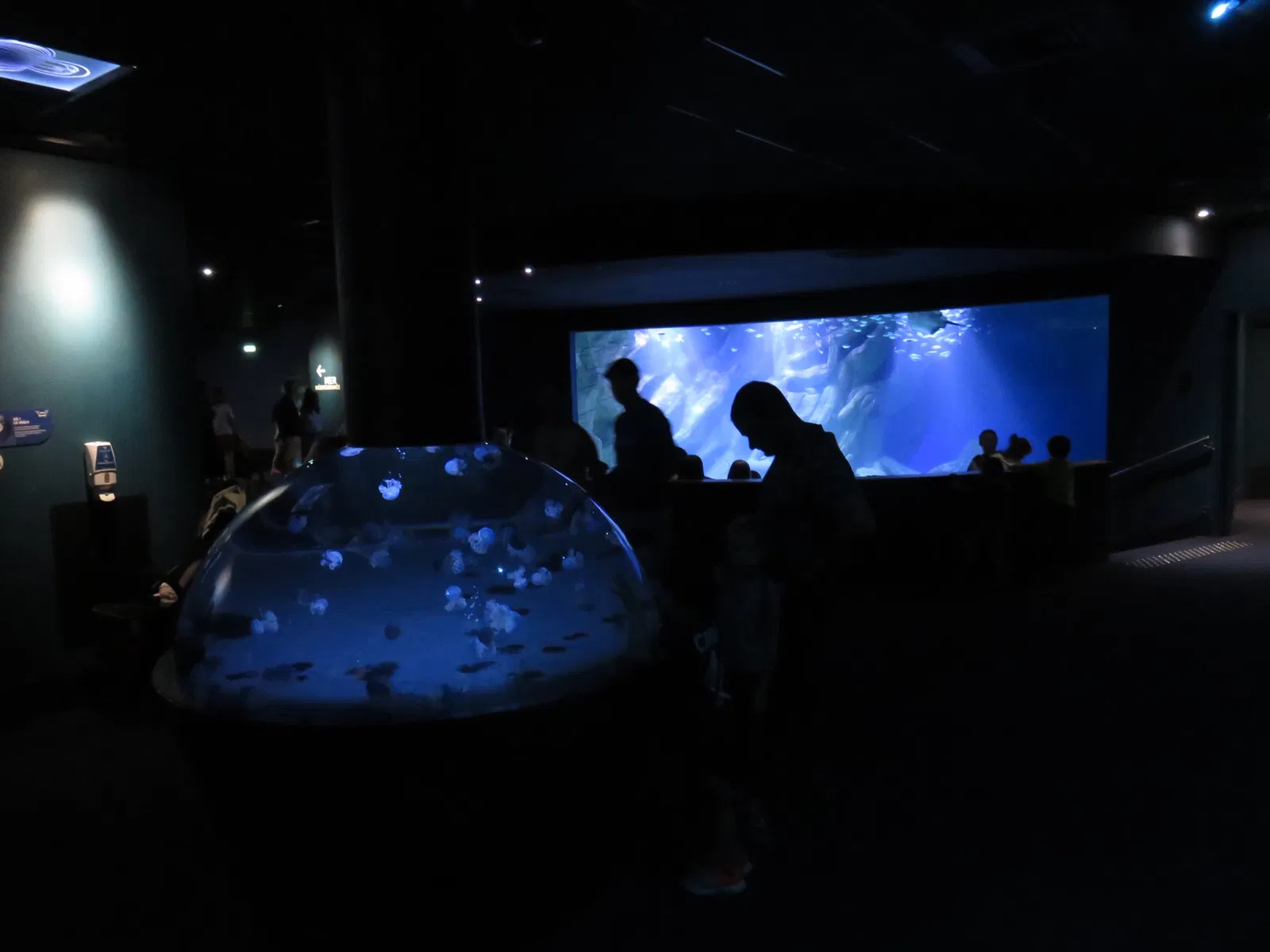 Aquarium de La Rochelle