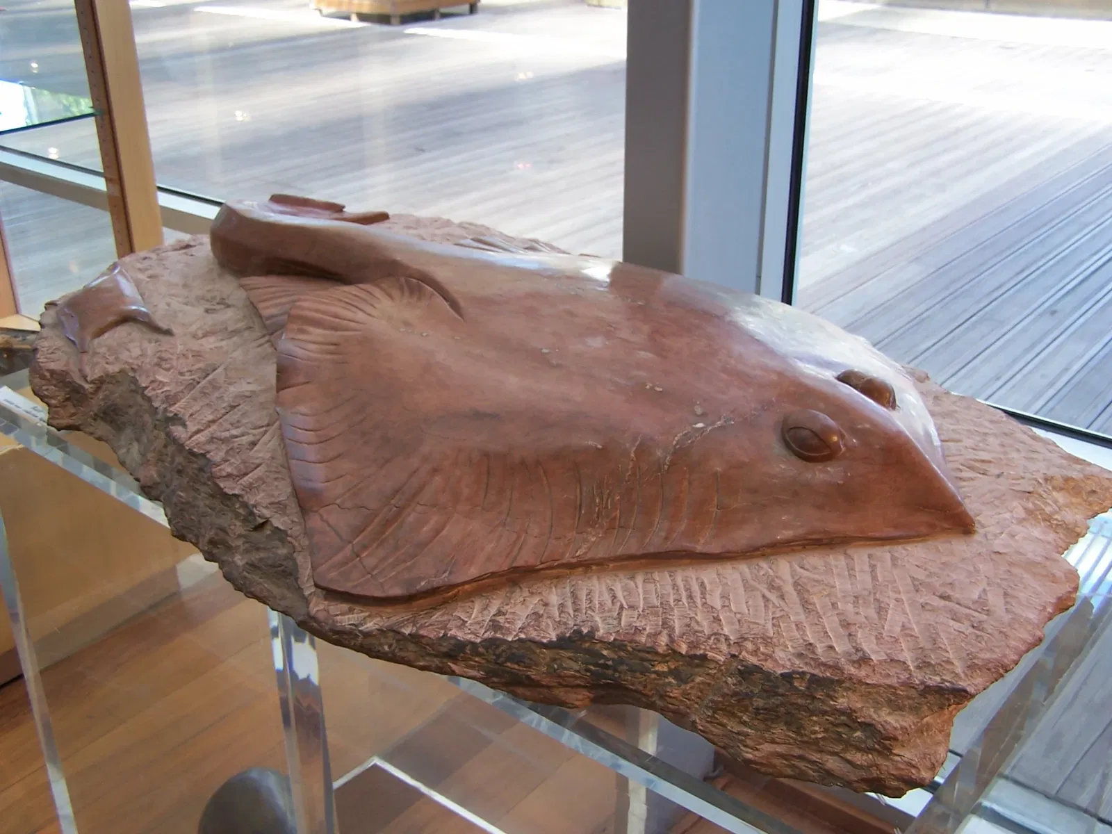 Aquarium de La Rochelle