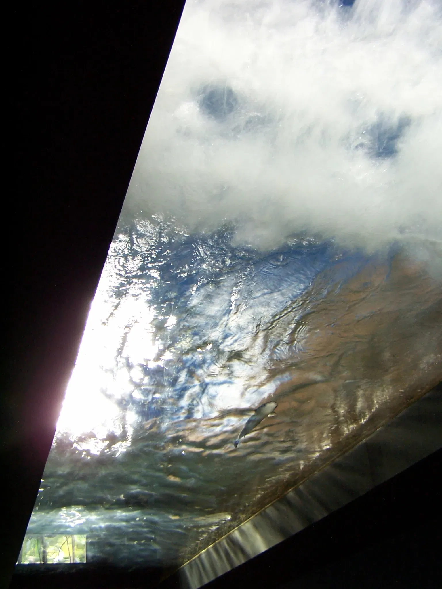 Aquarium de La Rochelle