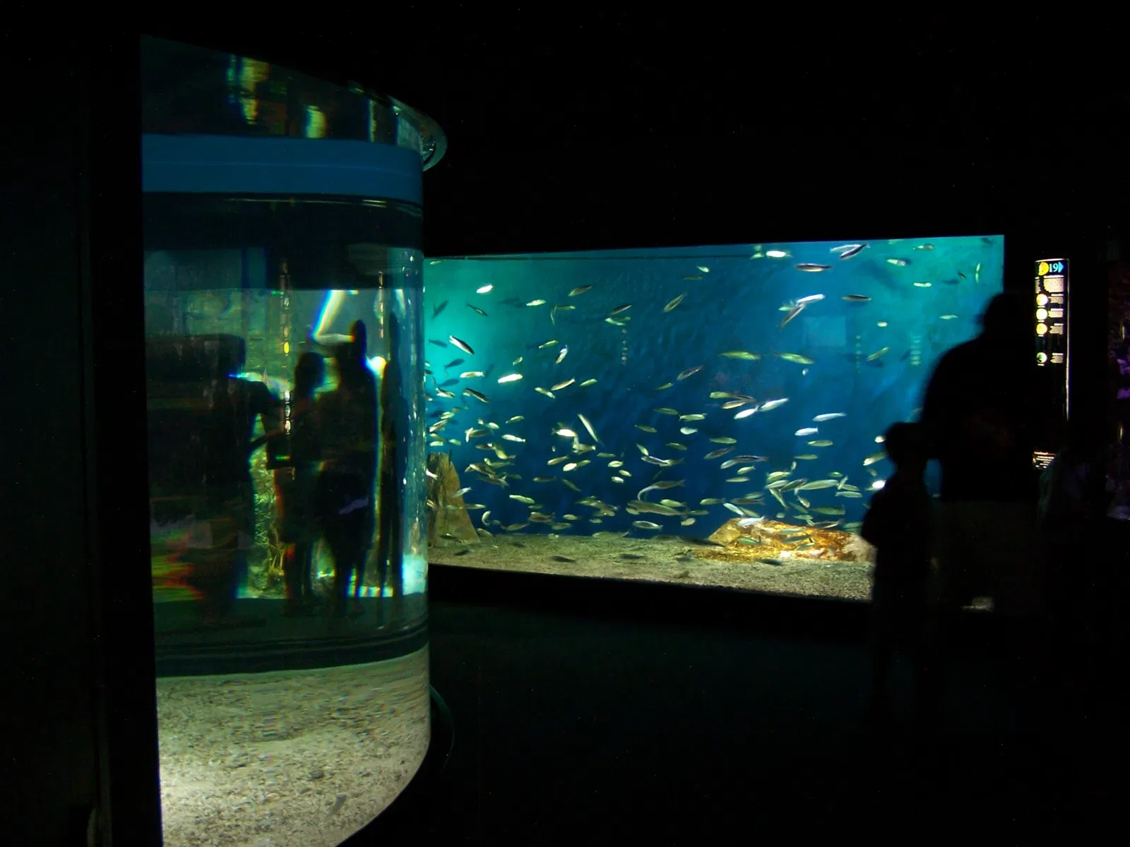 Aquarium de La Rochelle