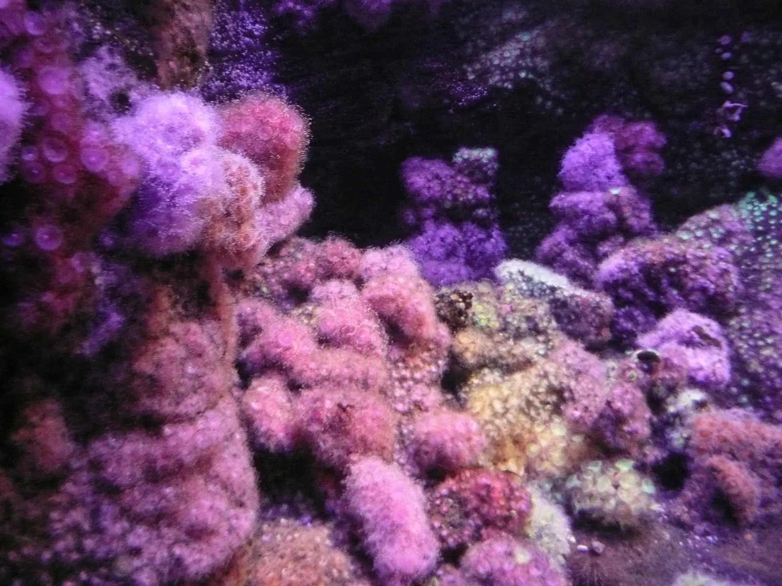 Aquarium de La Rochelle