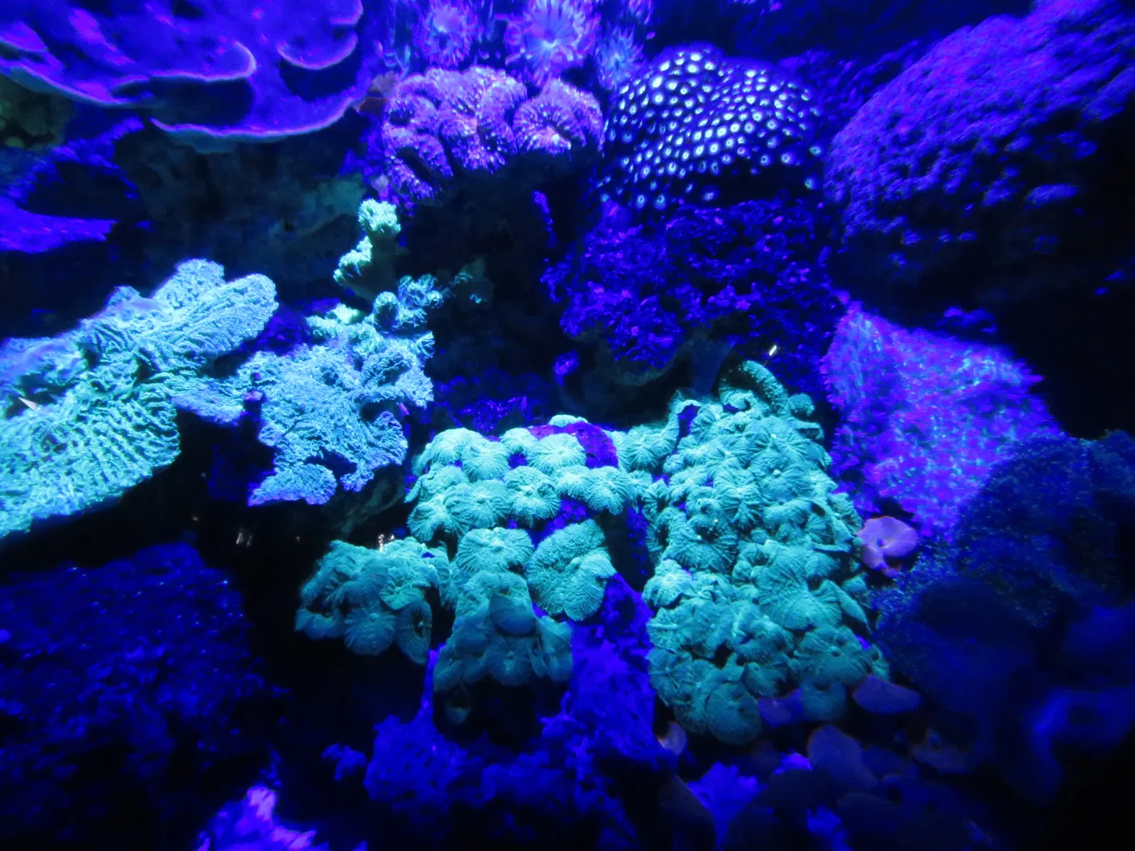 Aquarium de La Rochelle