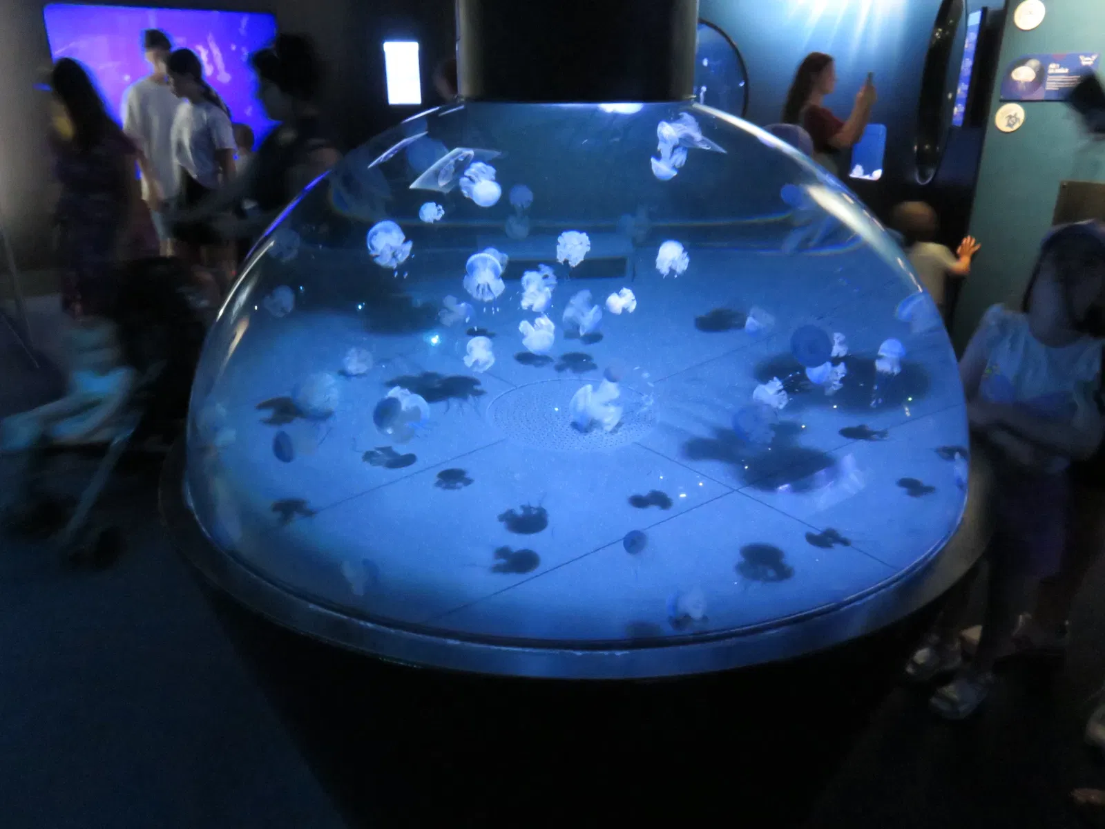 Aquarium de La Rochelle