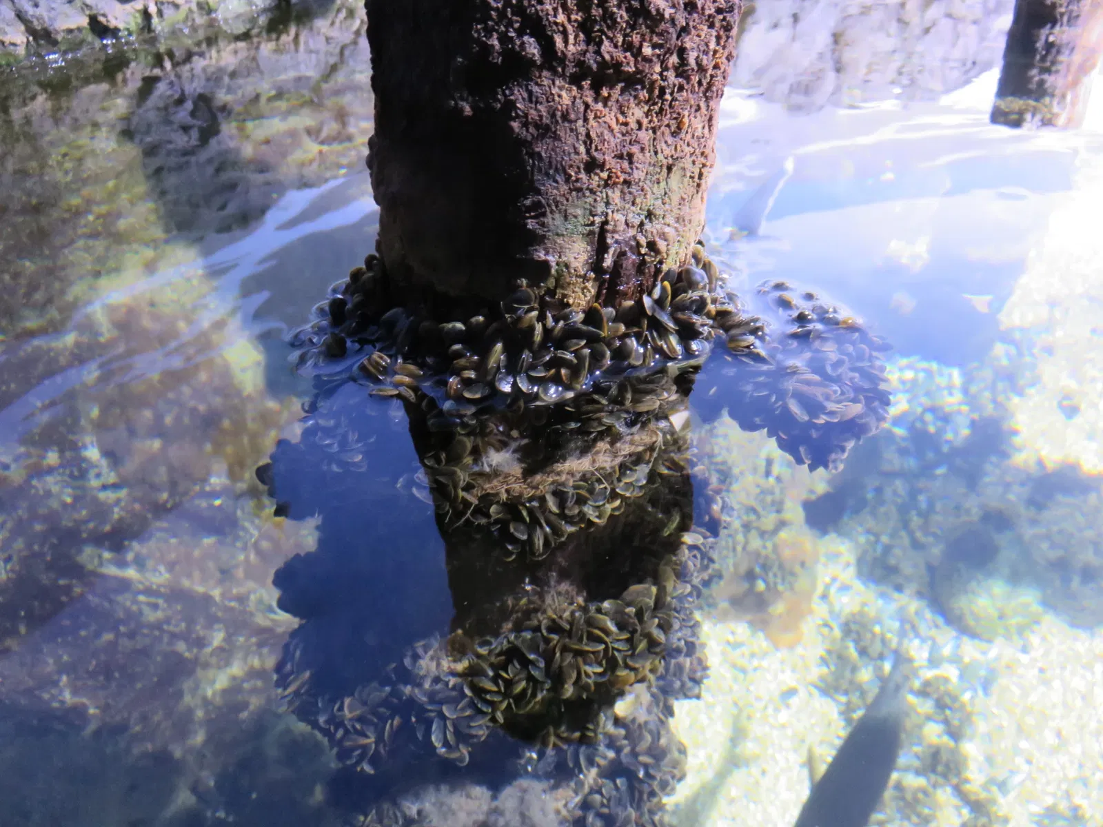 Aquarium de La Rochelle