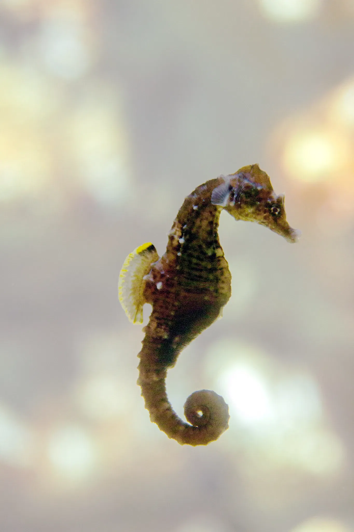 Aquarium de La Rochelle