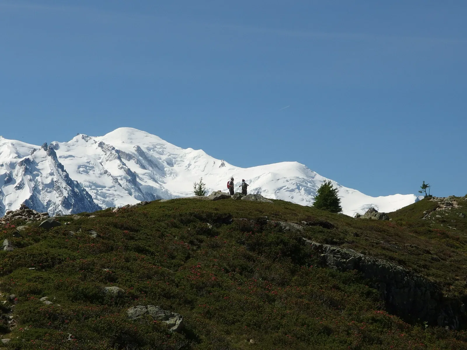 Réserve Naturelle Nationale des Aiguilles Rouges