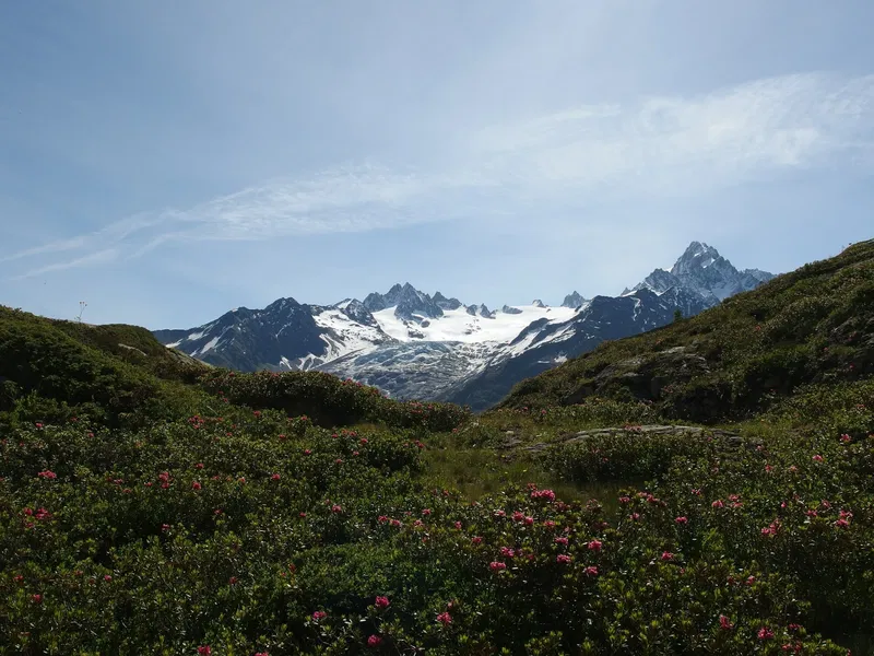 Aigulles Rouges Nature Reserve Aiguilles Rouges National Nature Reserve (Chamonix-Mont-Blanc ...