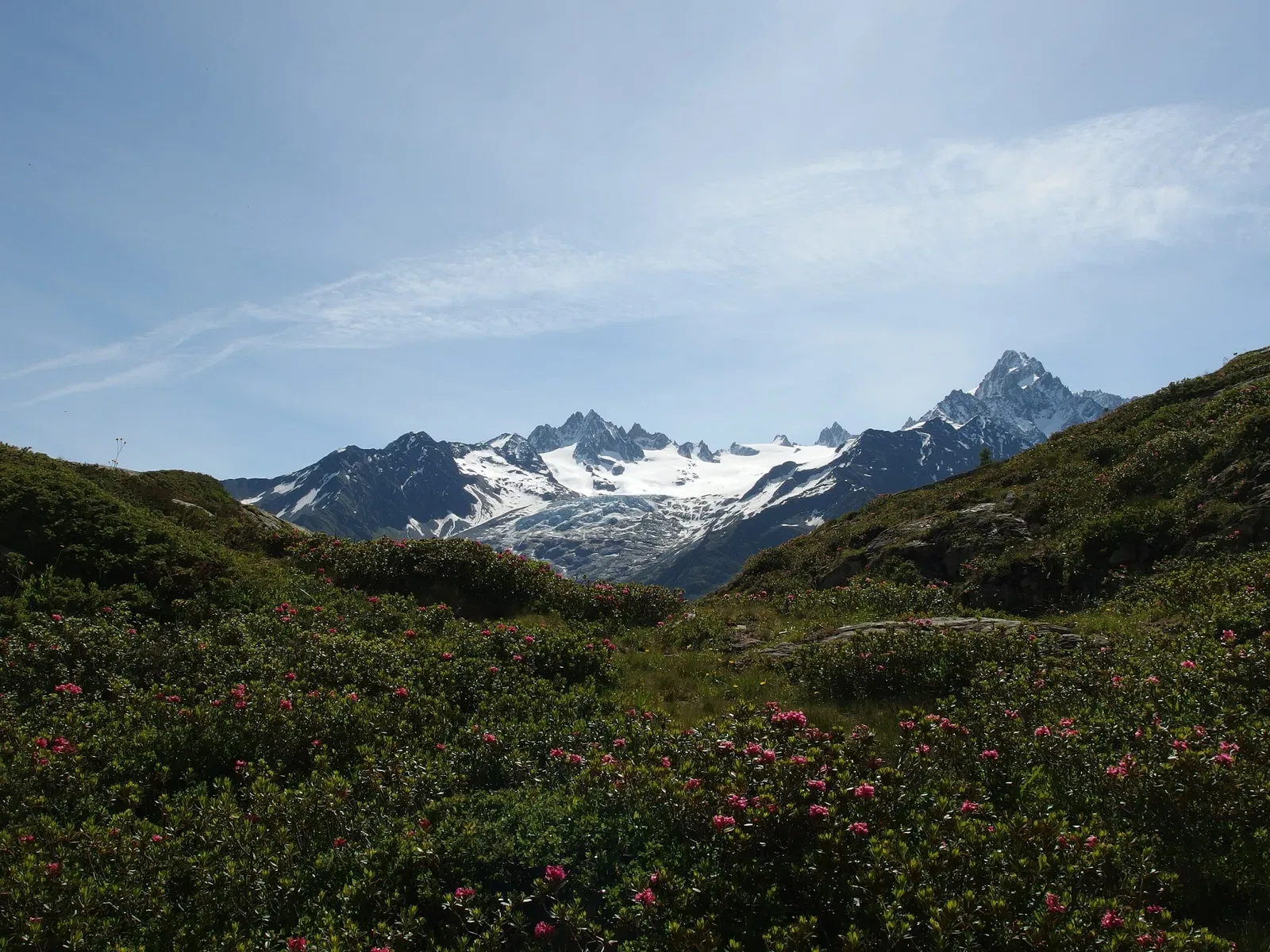 Réserve Naturelle Nationale des Aiguilles Rouges