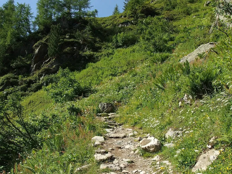 Aigulles Rouges Nature Reserve Aiguilles Rouges National Nature Reserve (Chamonix-Mont-Blanc ...