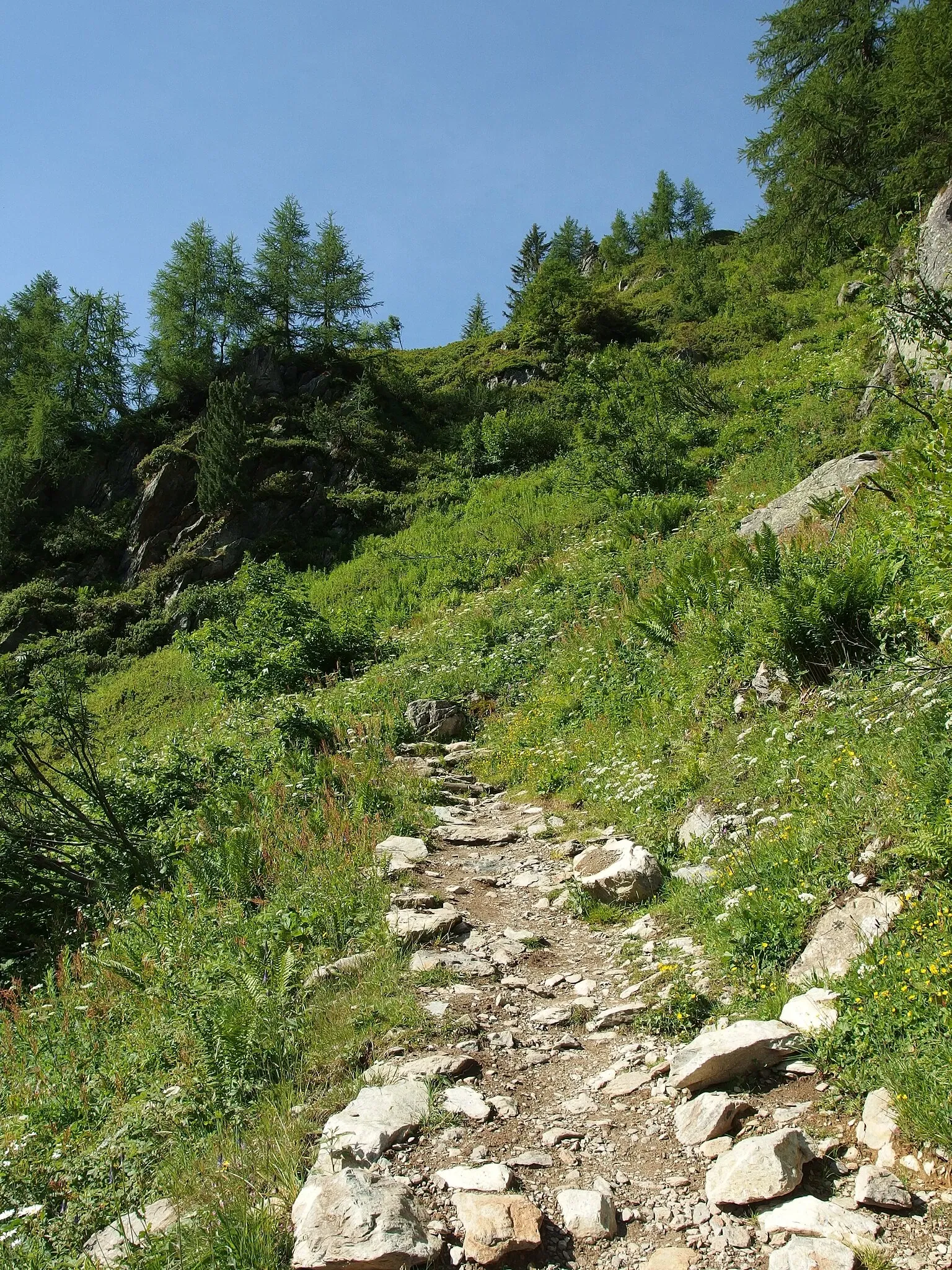 Réserve Naturelle Nationale des Aiguilles Rouges