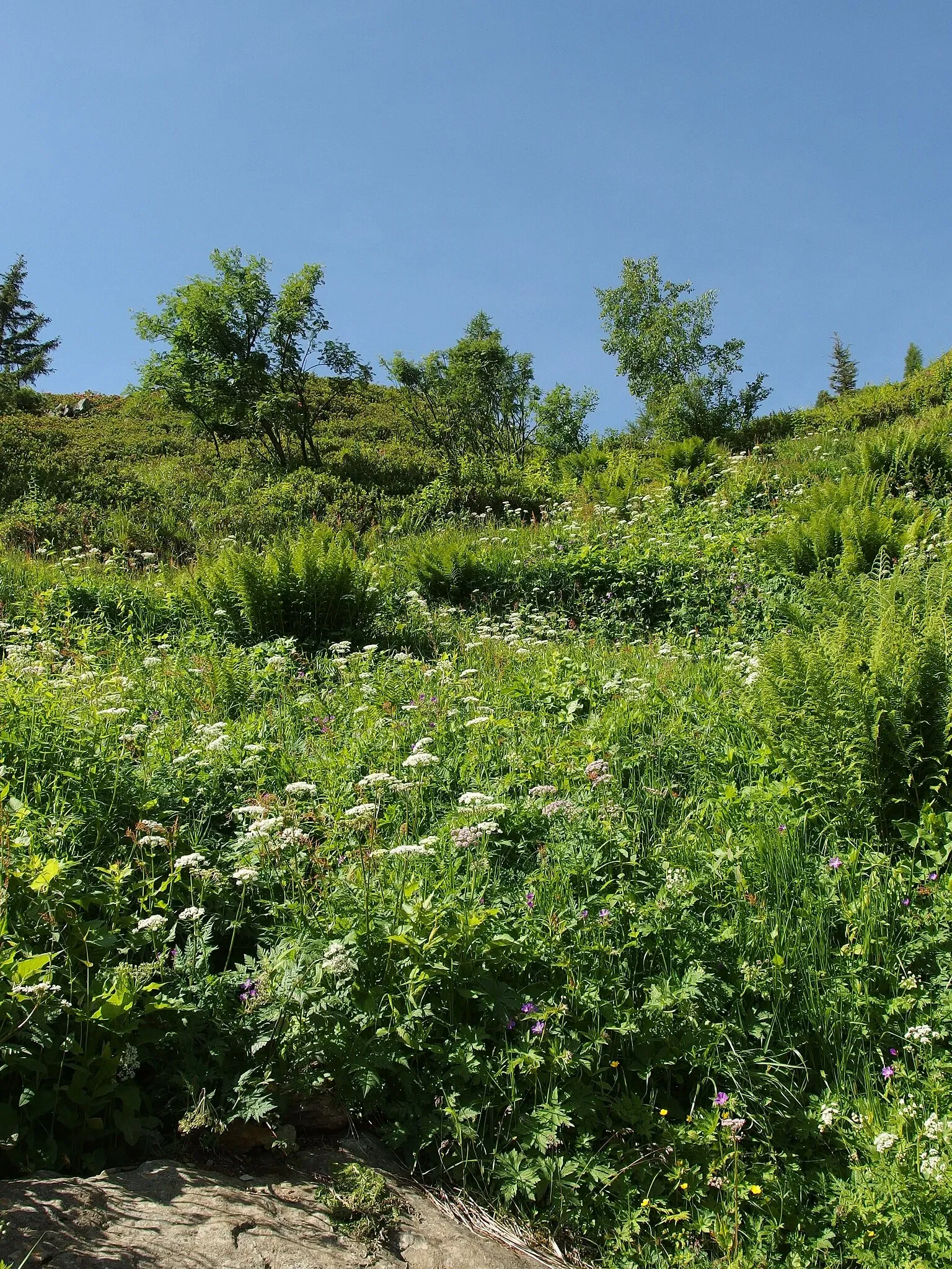 Aiguilles Rouges National Nature Reserve