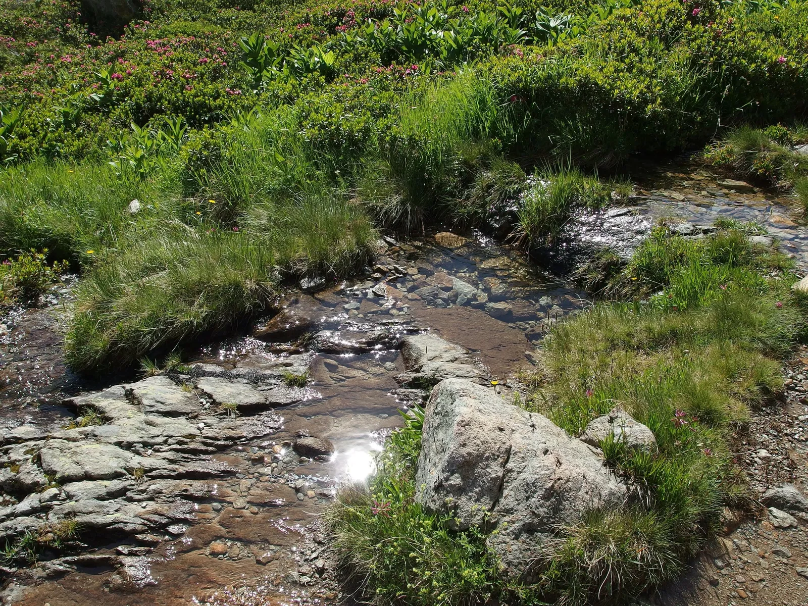 Aiguilles Rouges National Nature Reserve