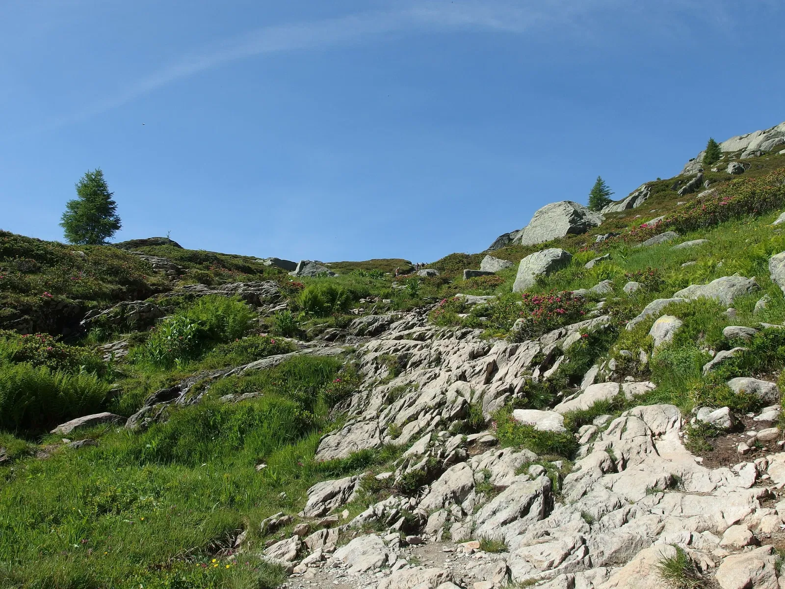 Aiguilles Rouges National Nature Reserve