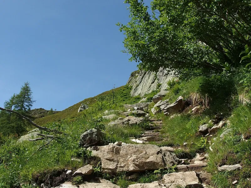 Aigulles Rouges Nature Reserve Aiguilles Rouges National Nature Reserve (Chamonix-Mont-Blanc ...