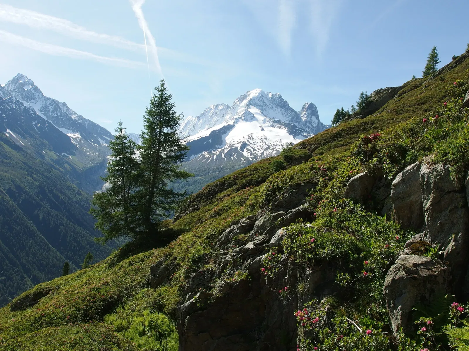 Réserve Naturelle Nationale des Aiguilles Rouges