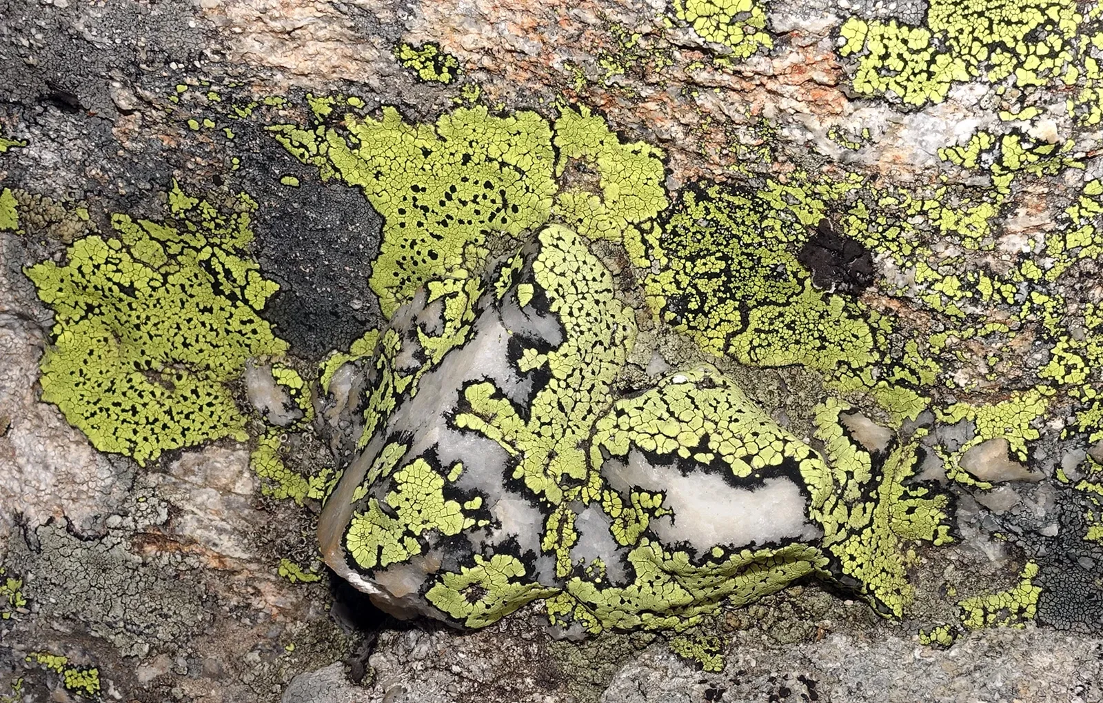 Réserve Naturelle Nationale des Aiguilles Rouges