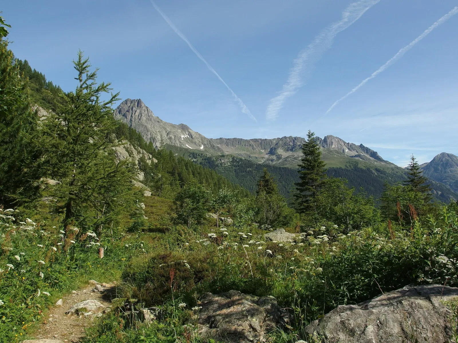Aiguilles Rouges National Nature Reserve