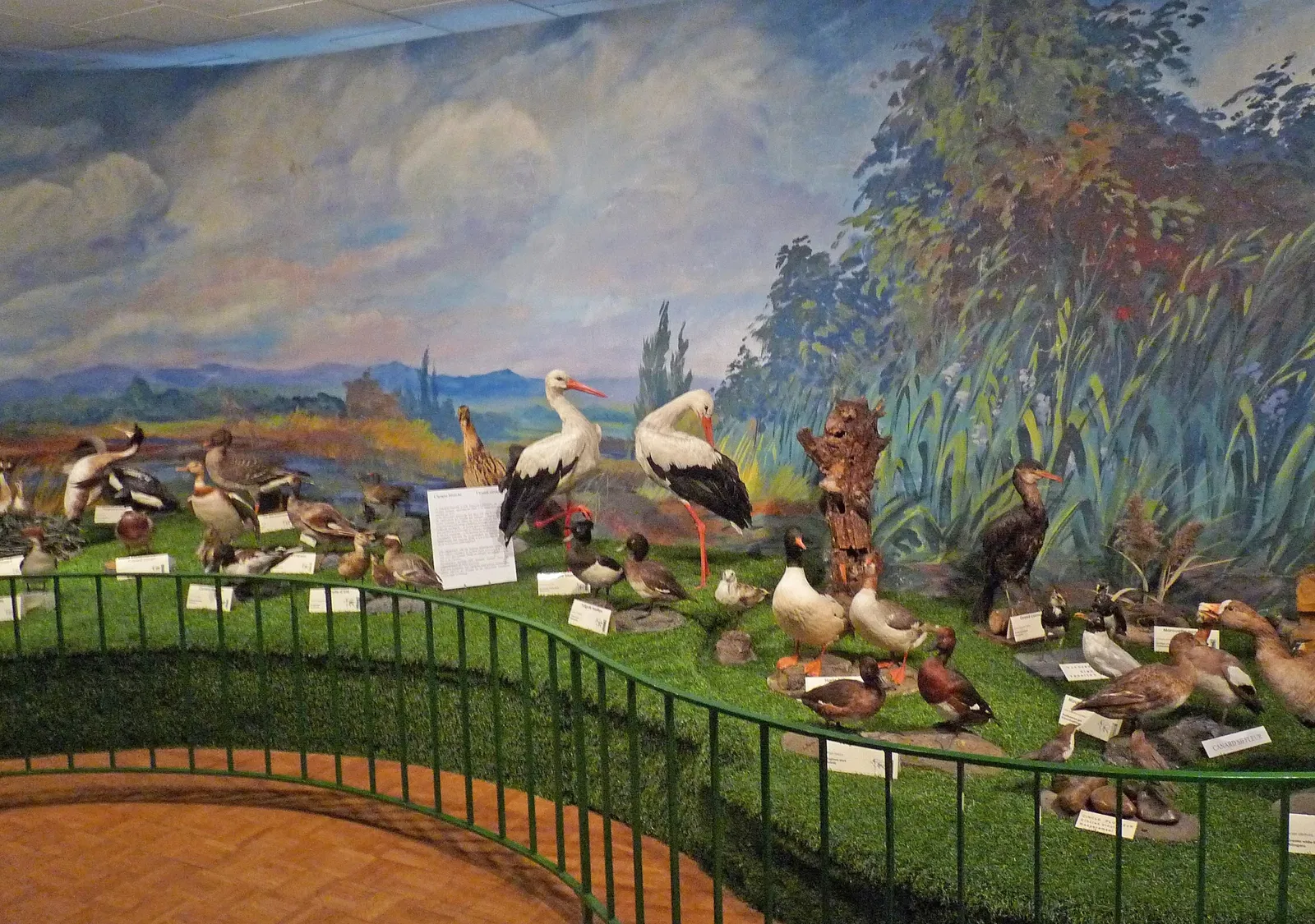 Musée d'Histoire Naturelle et d'Ethnographie