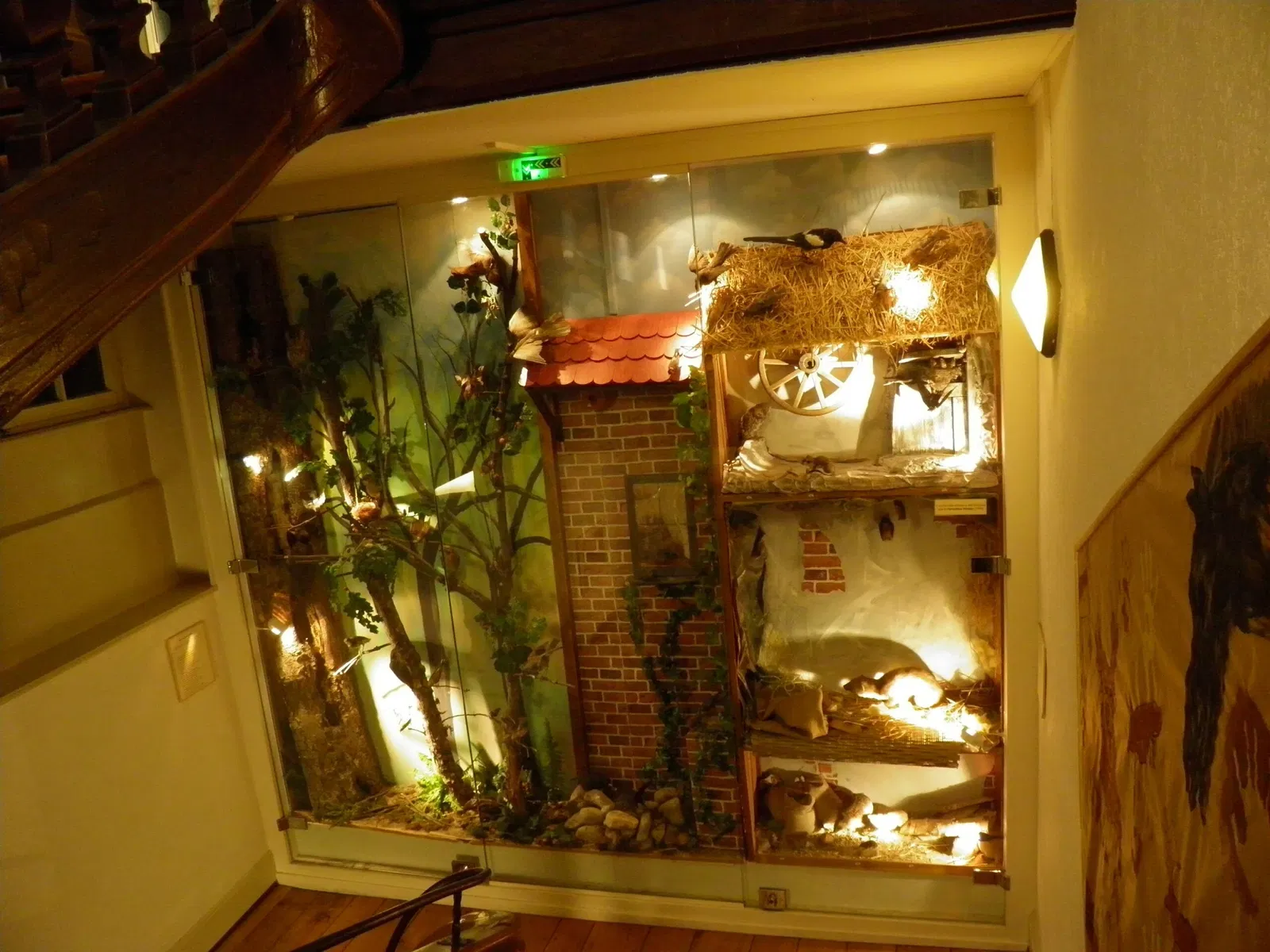 Natural History and Ethnography Museum