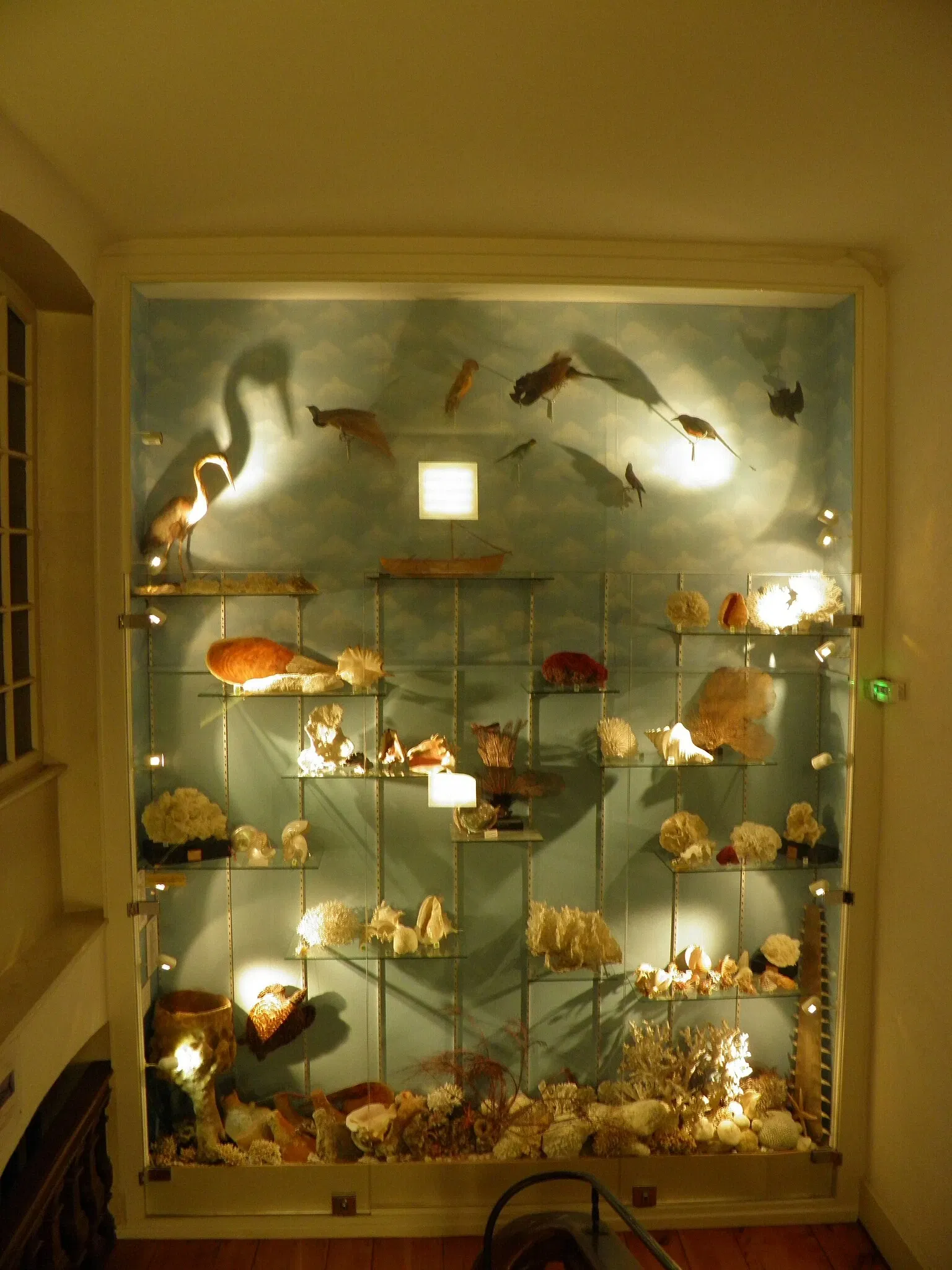 Natural History and Ethnography Museum