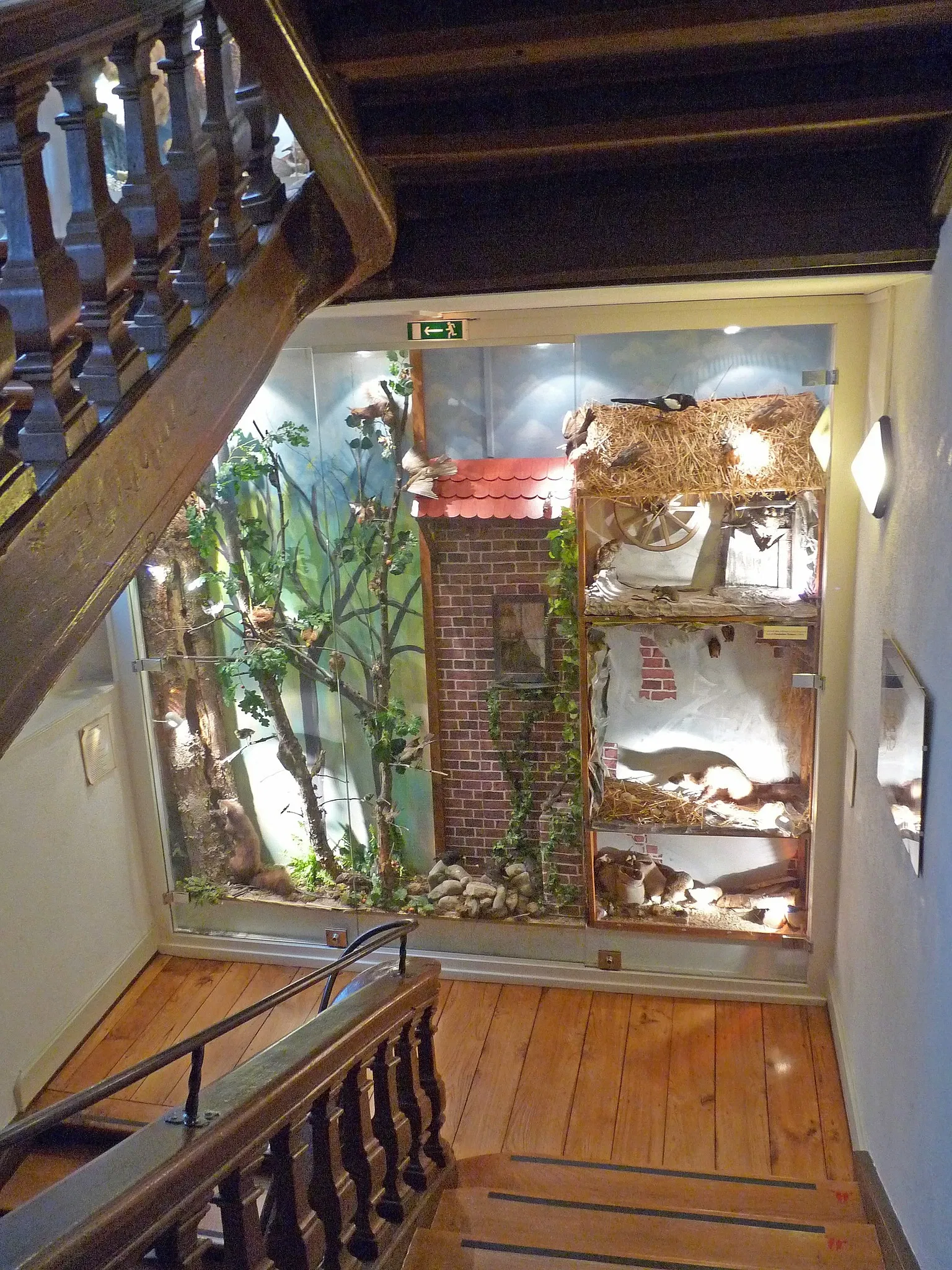 Musée d'Histoire Naturelle et d'Ethnographie