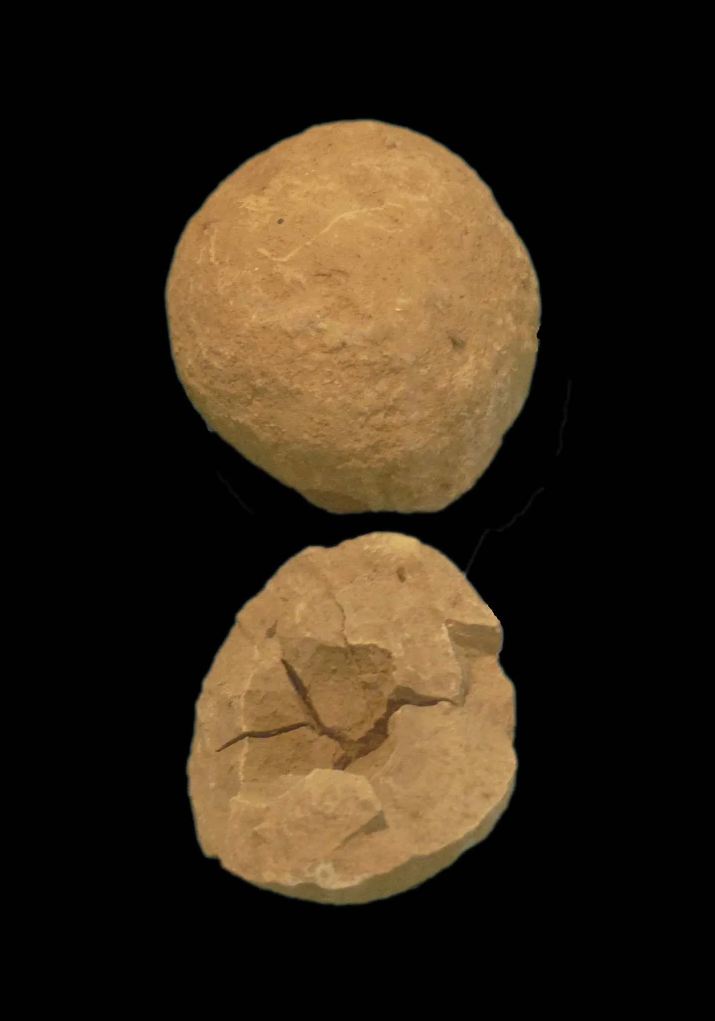 Natural History and Ethnography Museum