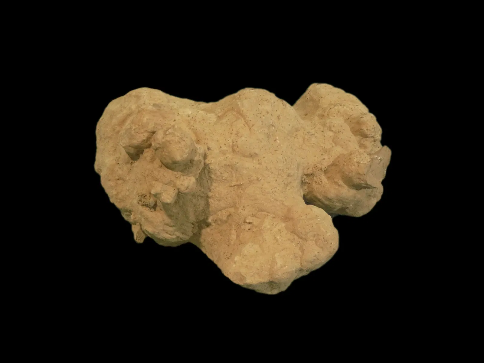 Musée d'Histoire Naturelle et d'Ethnographie