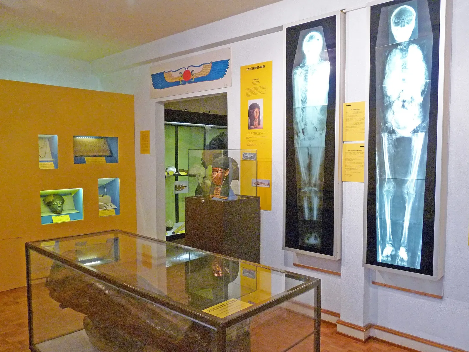 Natural History and Ethnography Museum