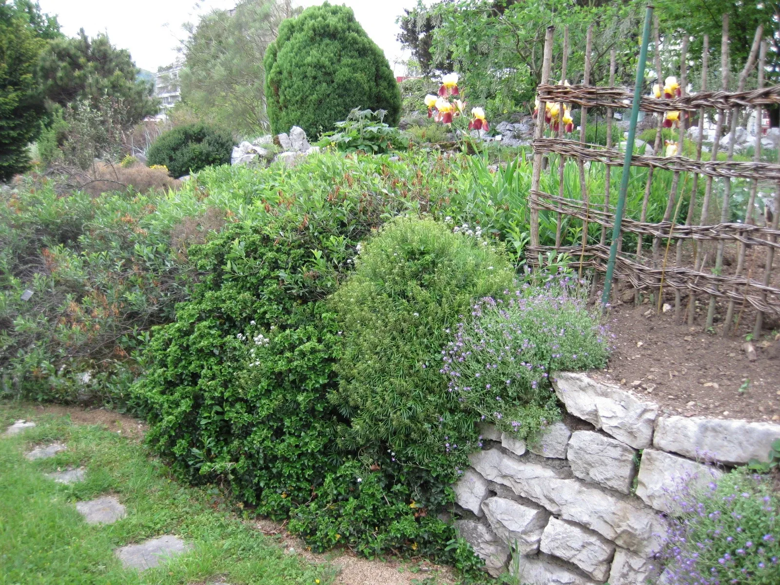 Jardín botánico de Besanzón