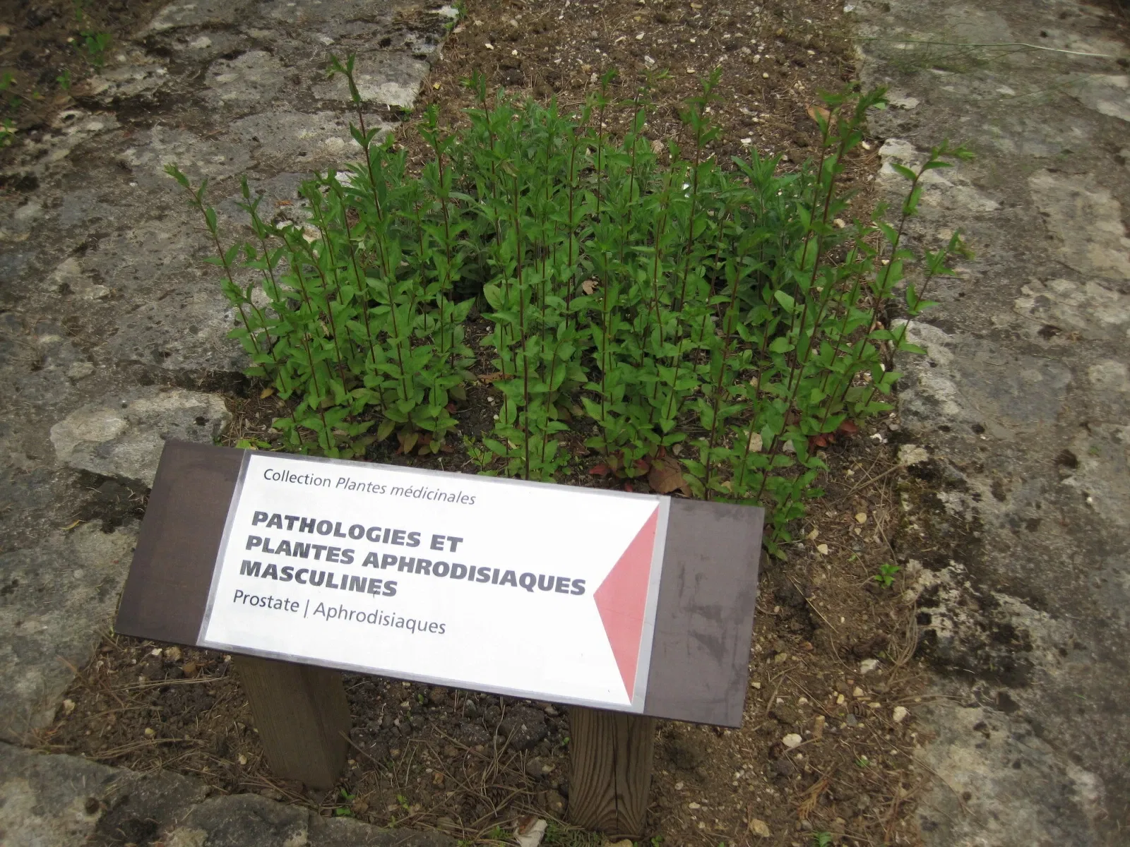 Jardin Botanique de Besançon