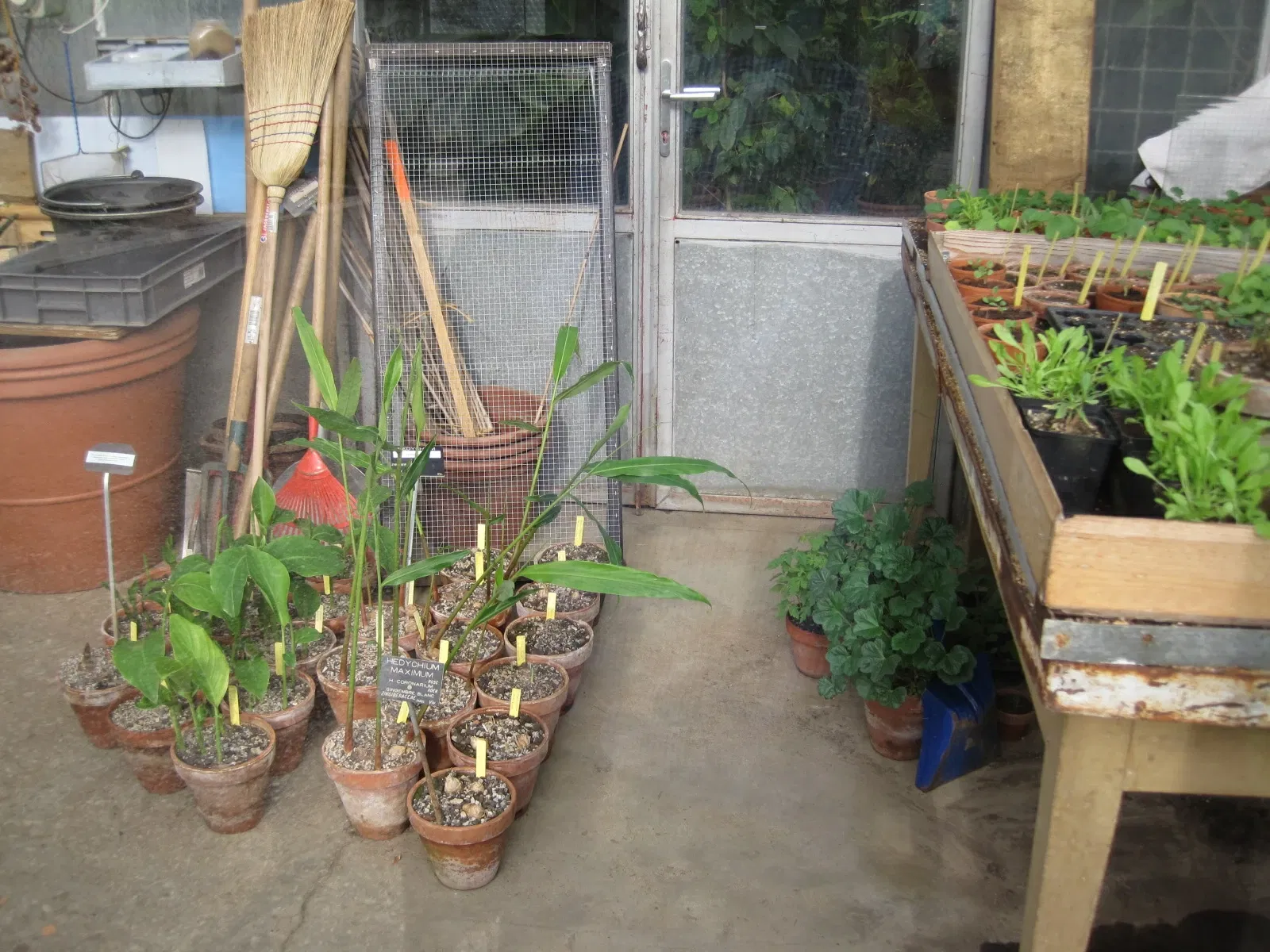 Jardin Botanique de Besançon