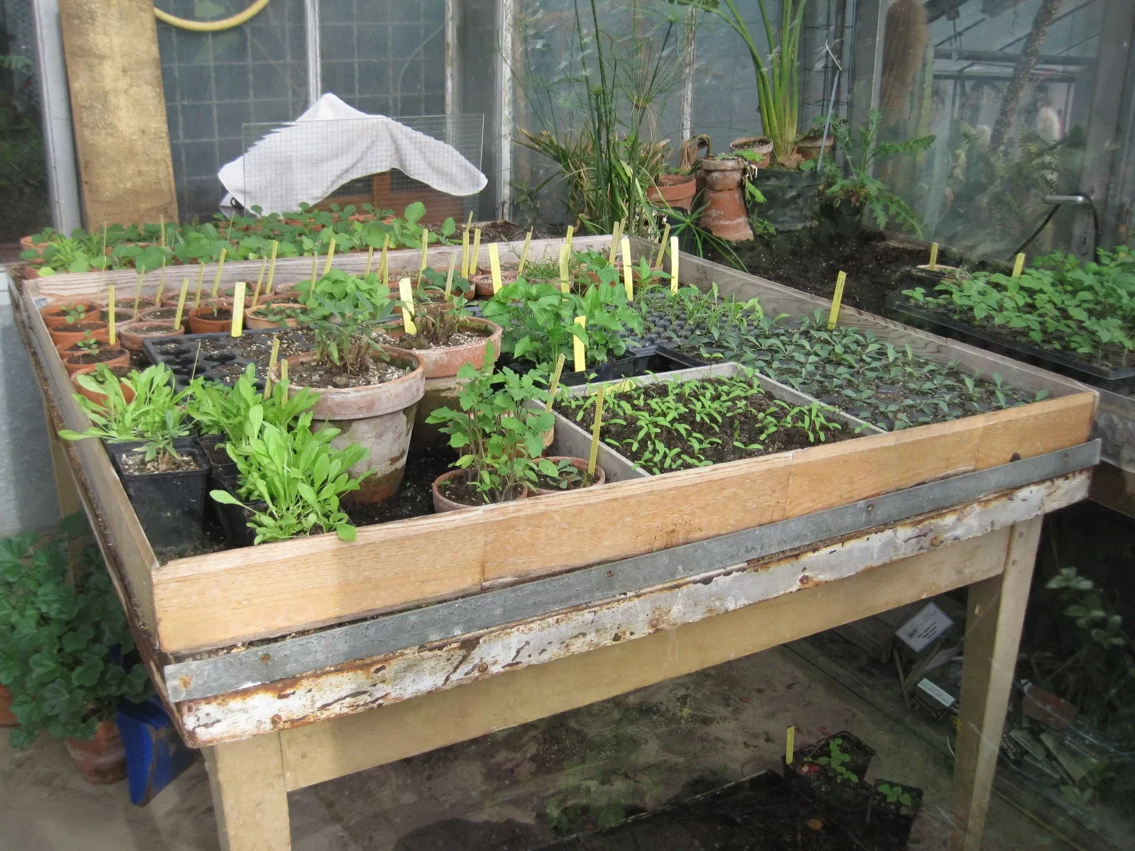 Jardín botánico de Besanzón