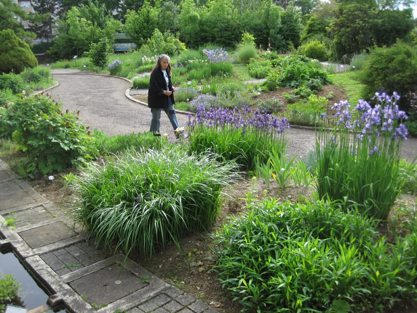 Jardín botánico de Besanzón