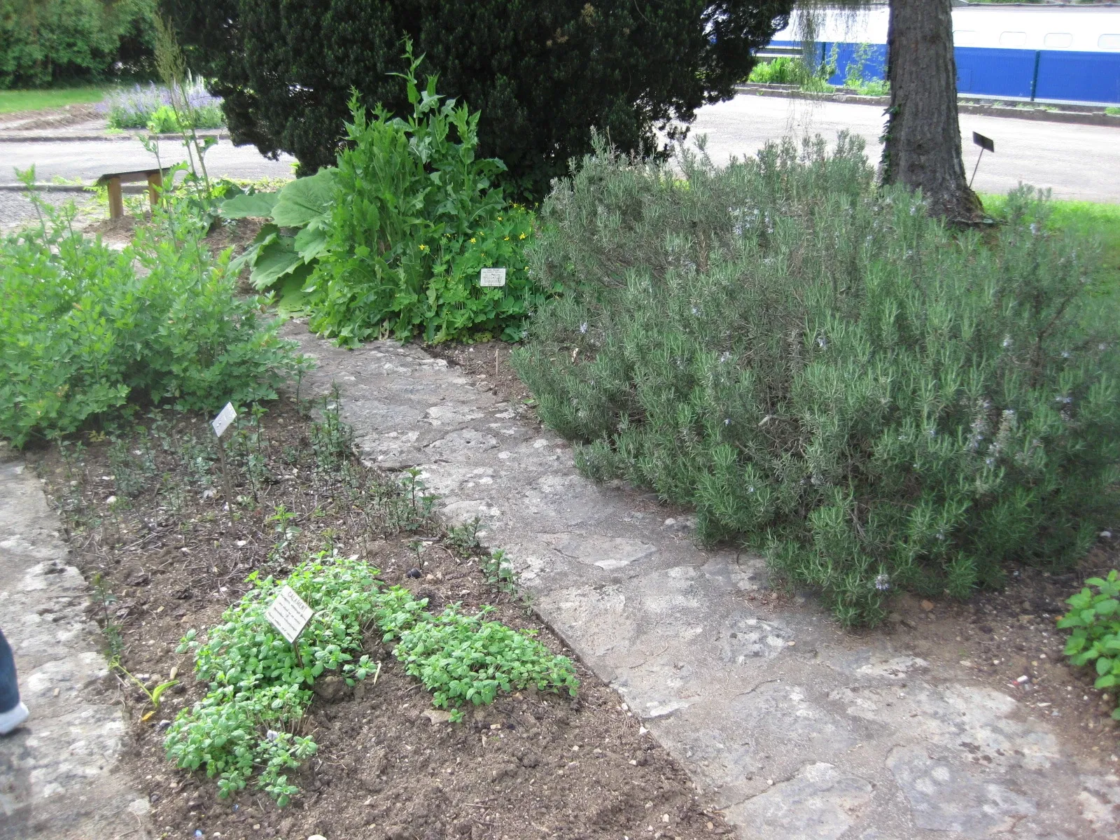 Jardín botánico de Besanzón