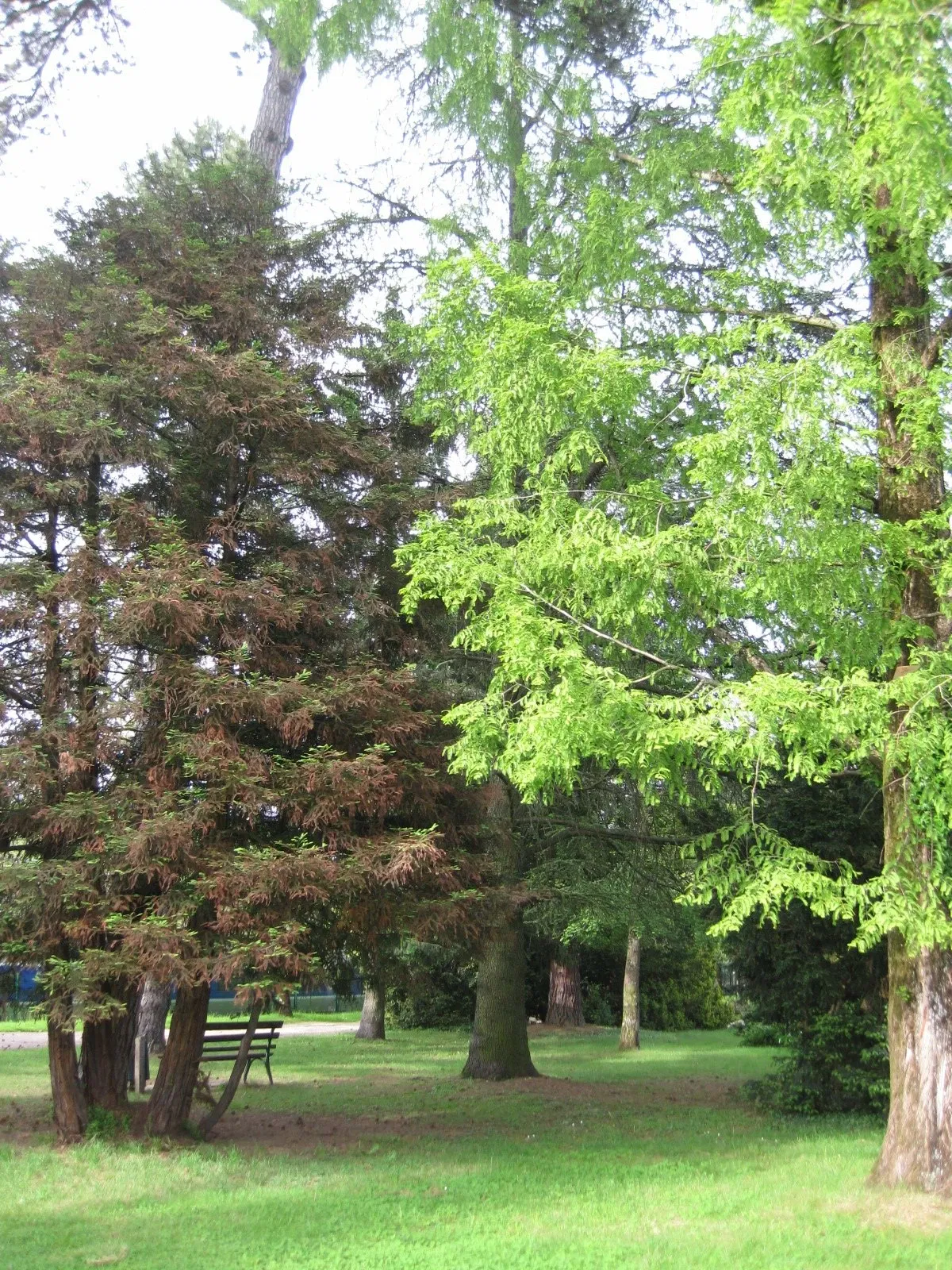Jardin Botanique de Besançon