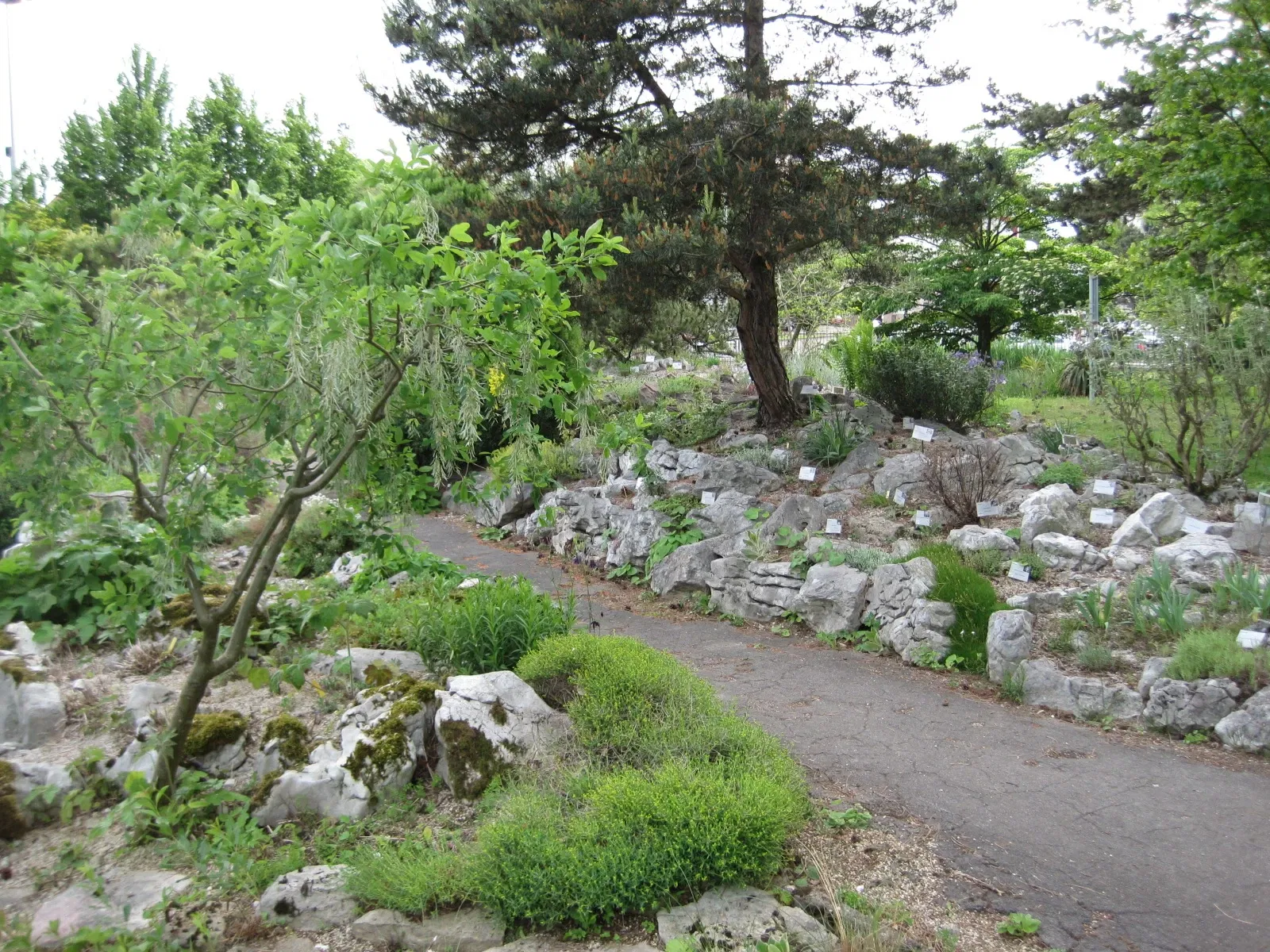 Jardín botánico de Besanzón