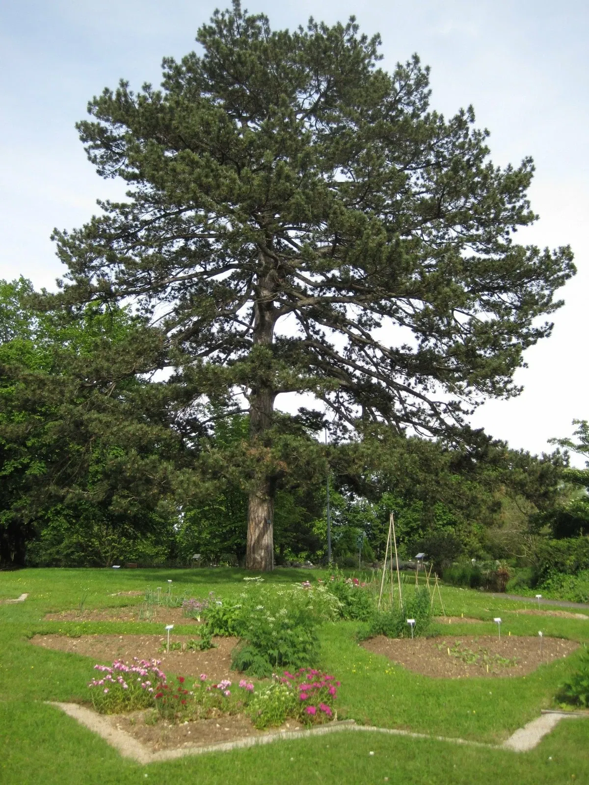 Jardin Botanique de Besançon