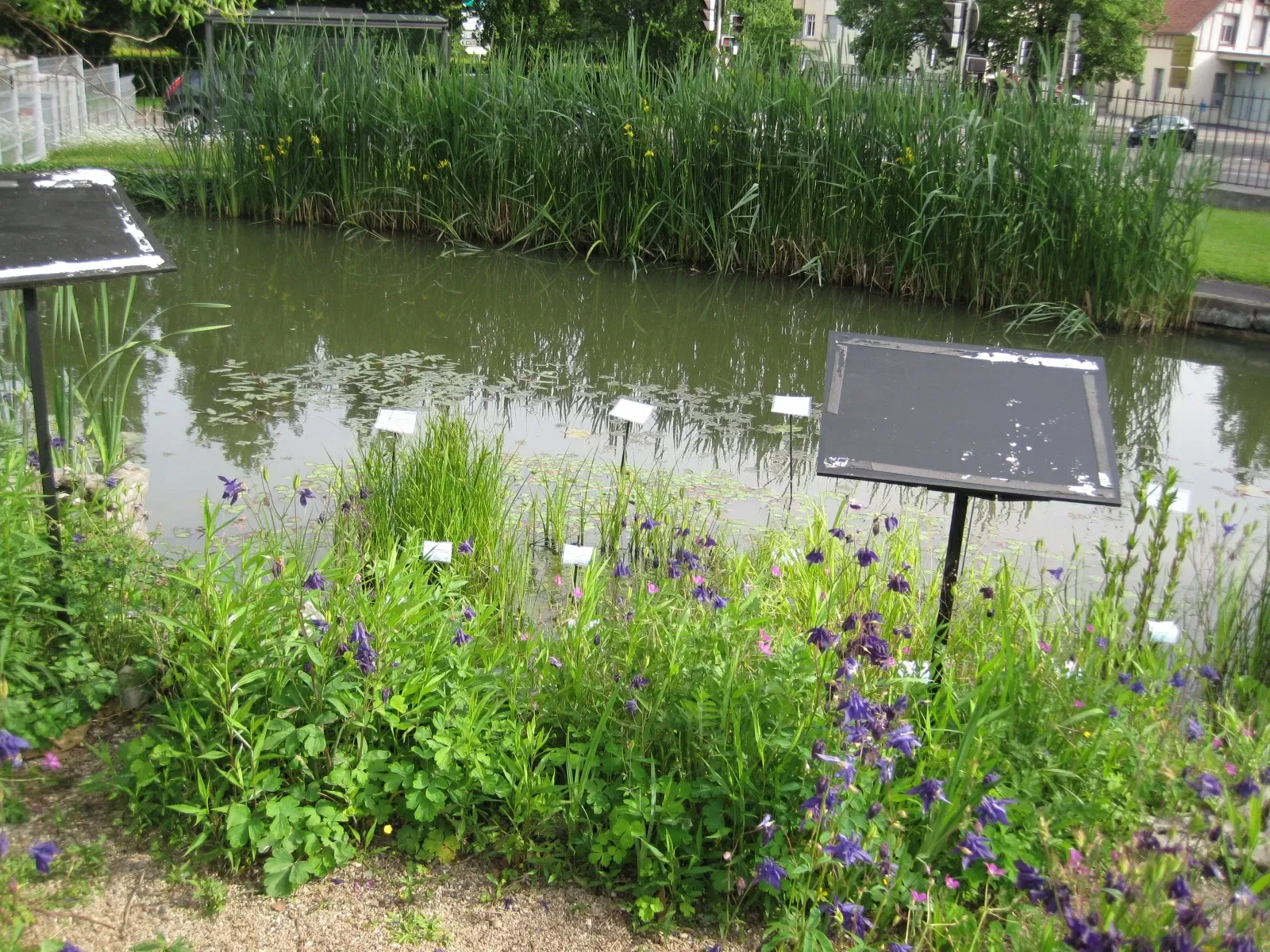 Jardin Botanique de Besançon
