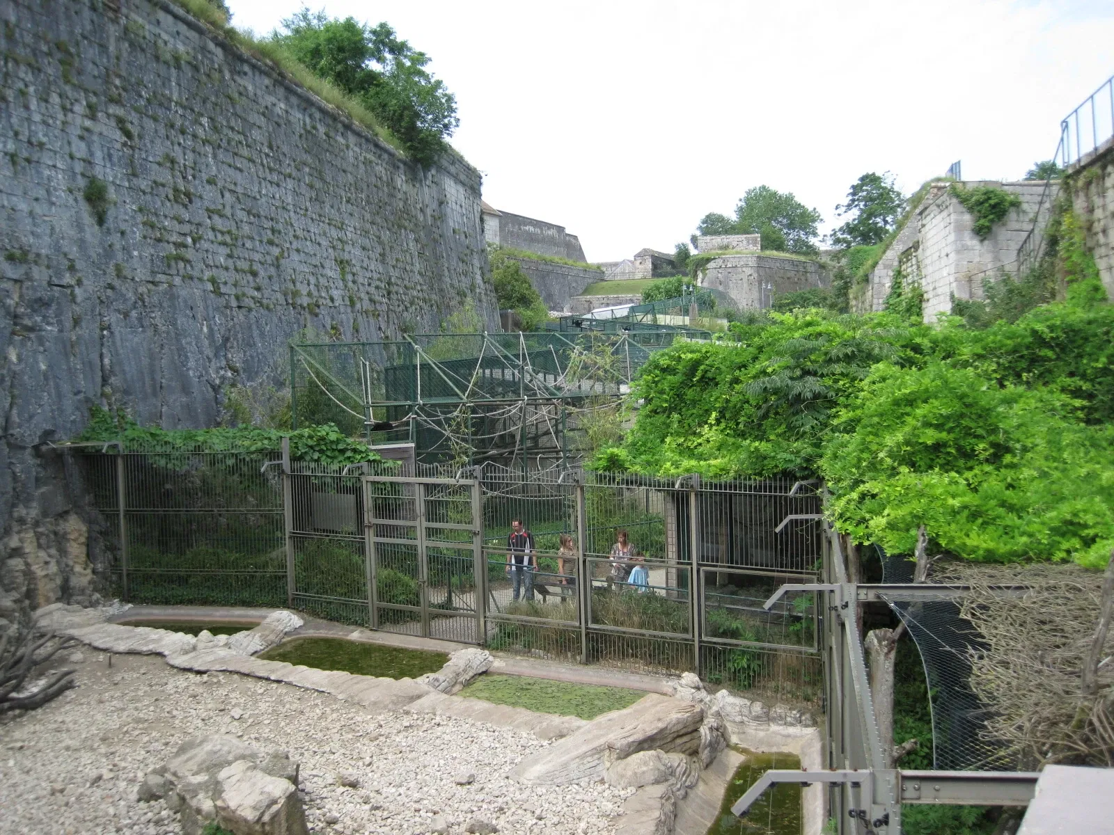 Muséum de Besançon