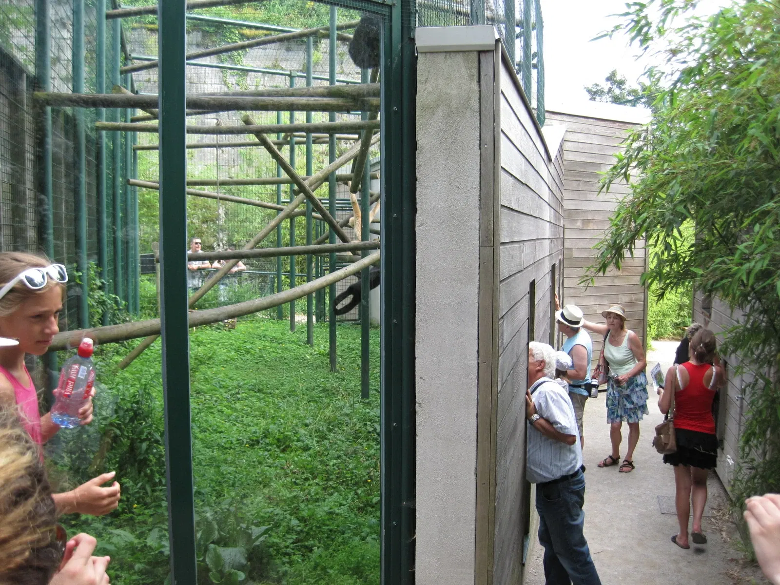Muséum de Besançon