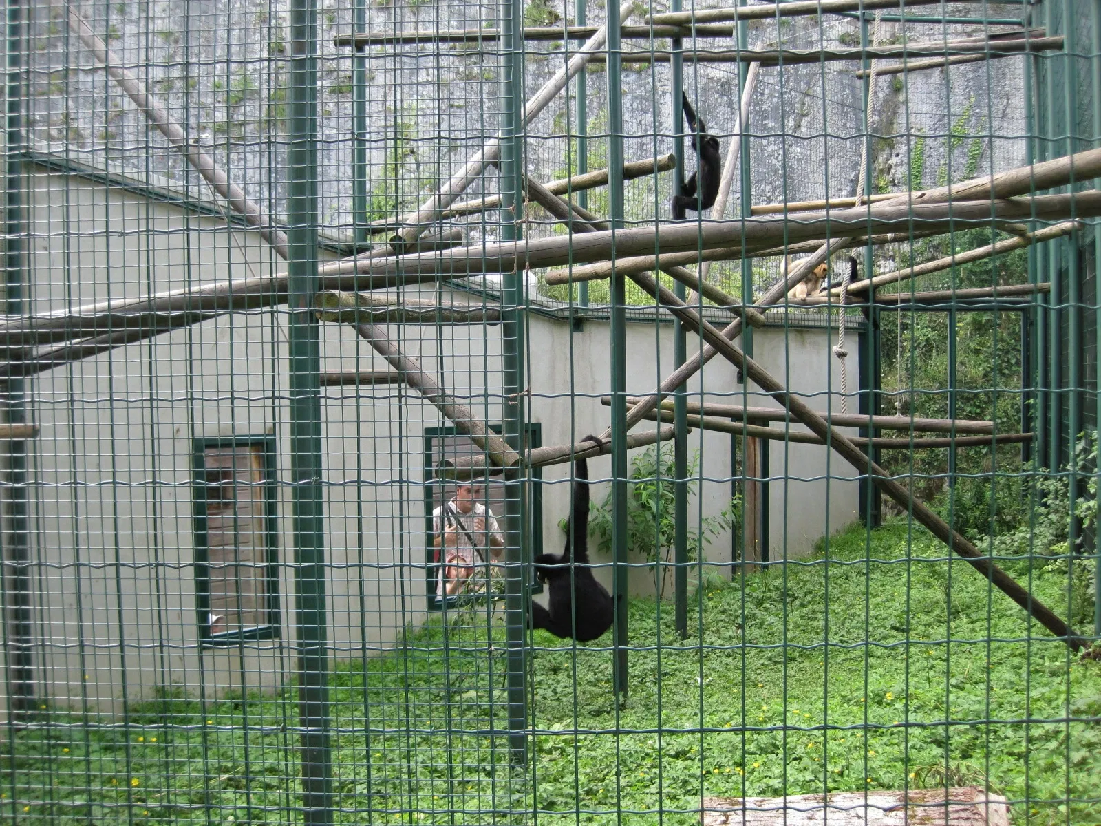 Muséum de Besançon